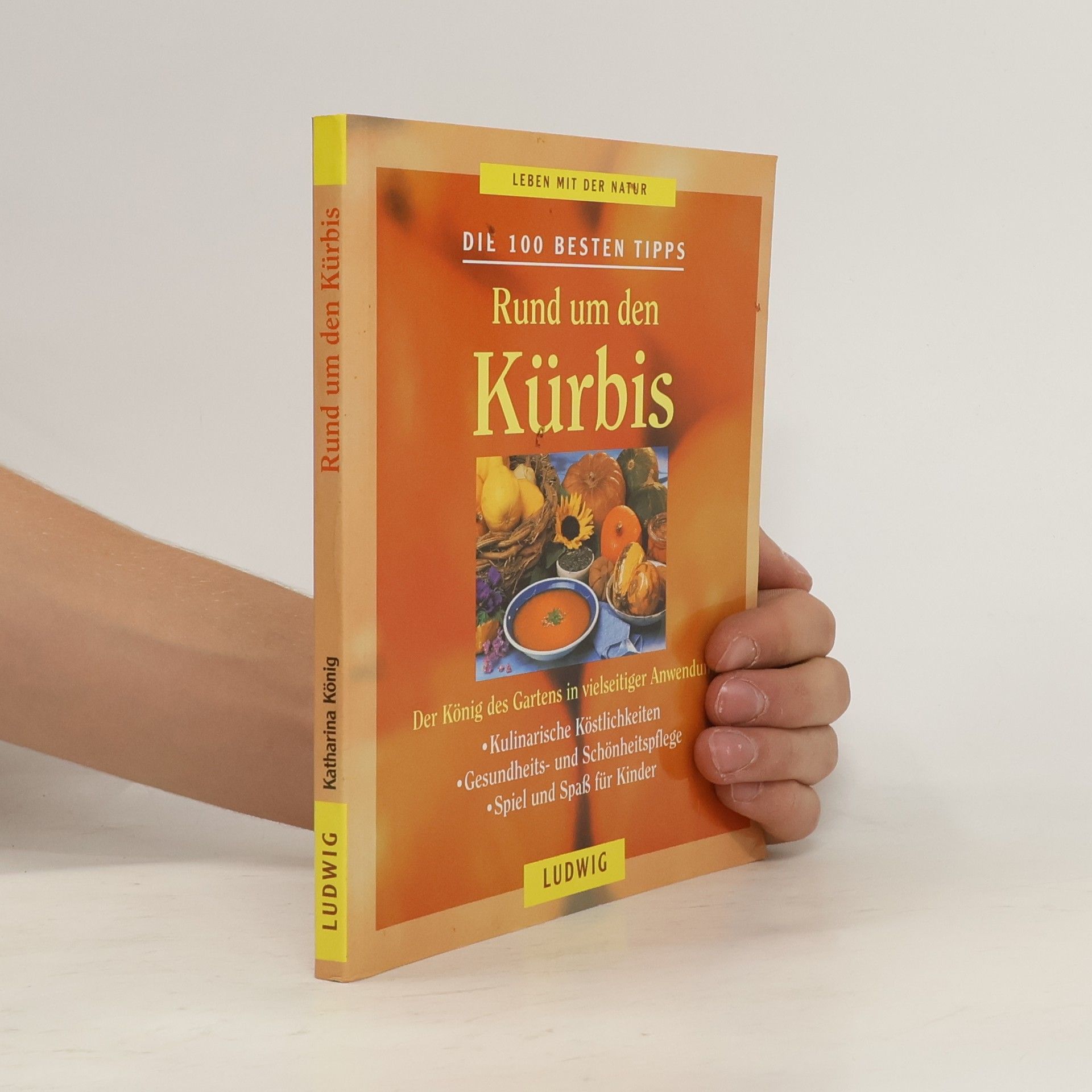 Rund um den Kürbis