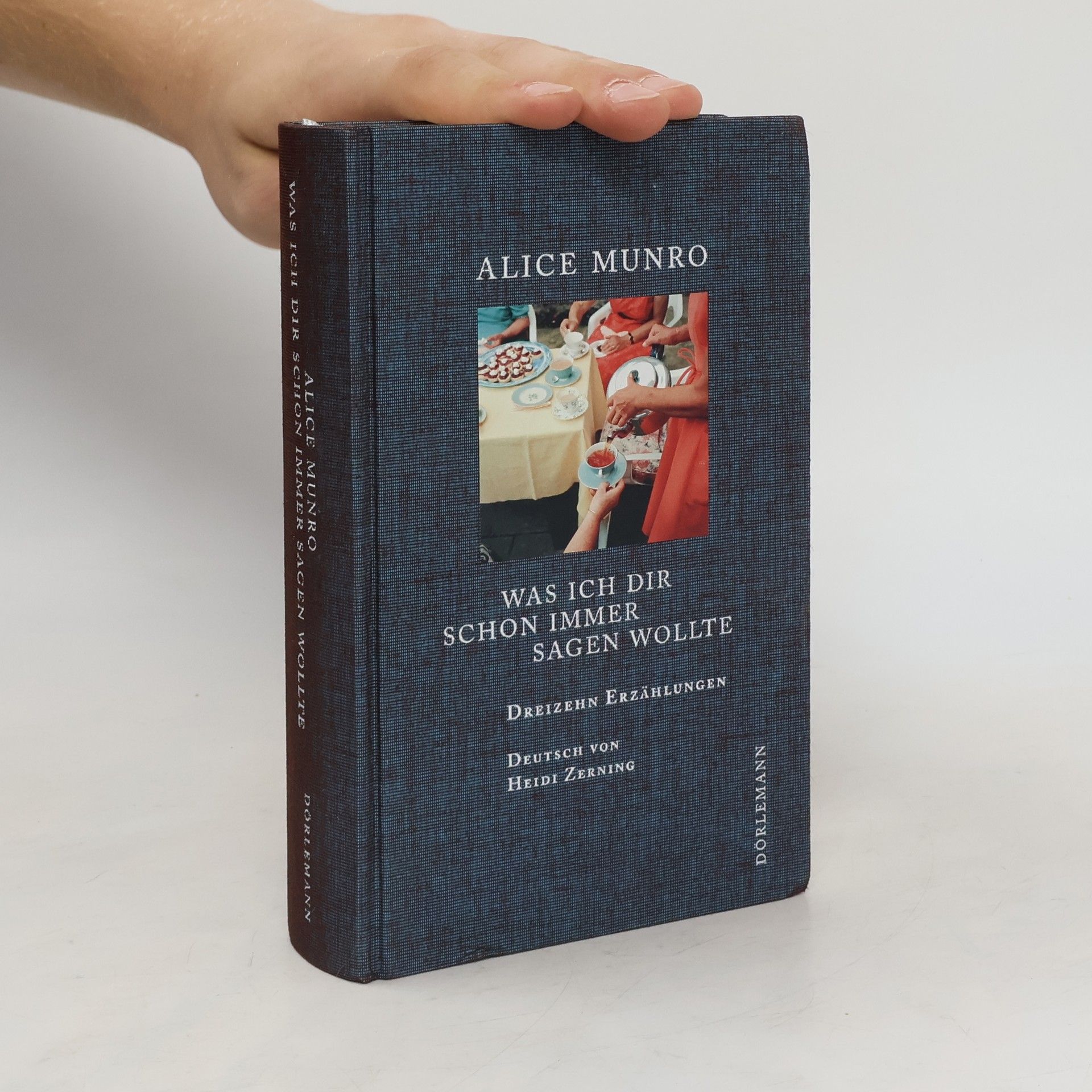 Alice Munro Was ich dir schon immer sagen wollte