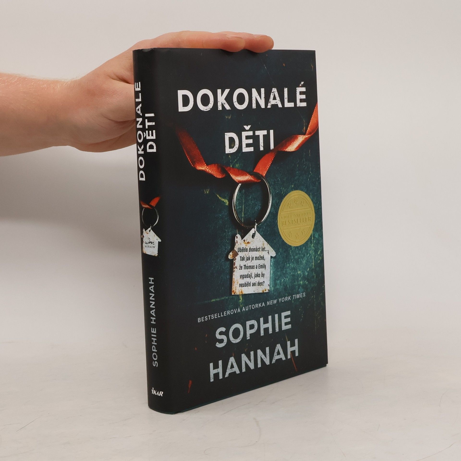 Sophie Hannah Dokonalé děti