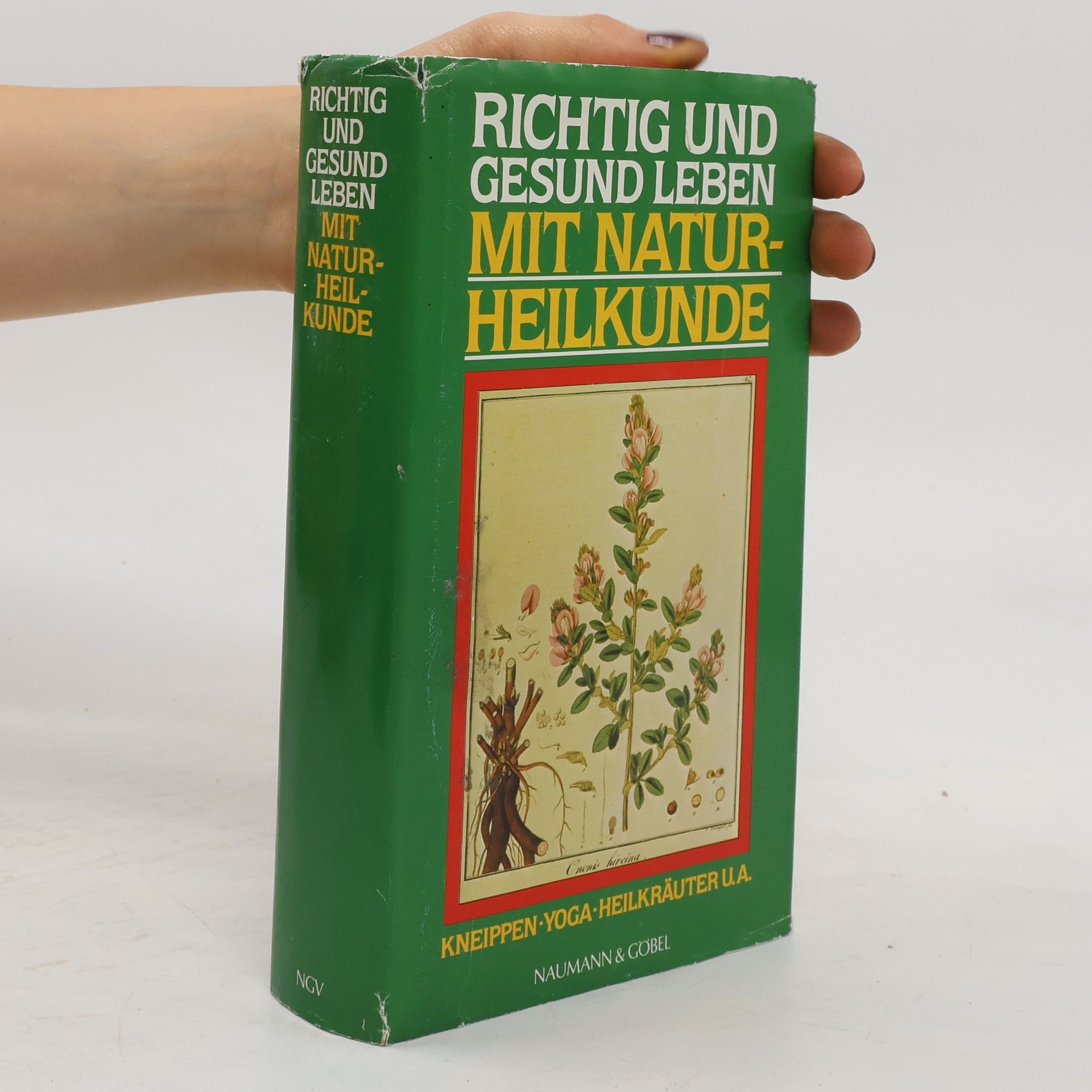 Collectif d'auteurs Richtig und gesund leben mit Naturheilkunde