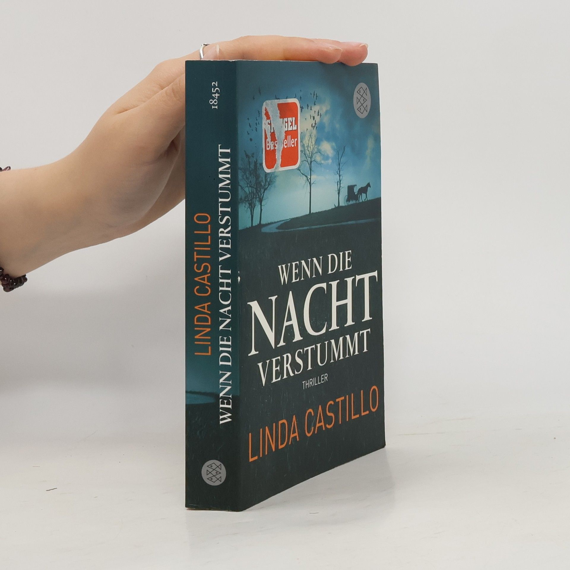 Linda Castillo Wenn die Nacht verstummt