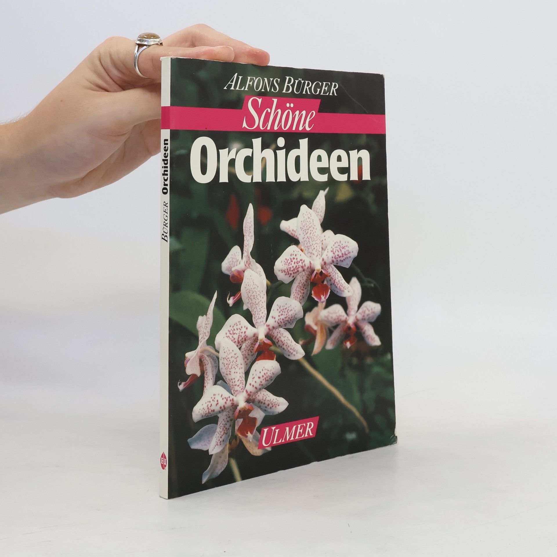 Alfons Burger Schöne Orchideen