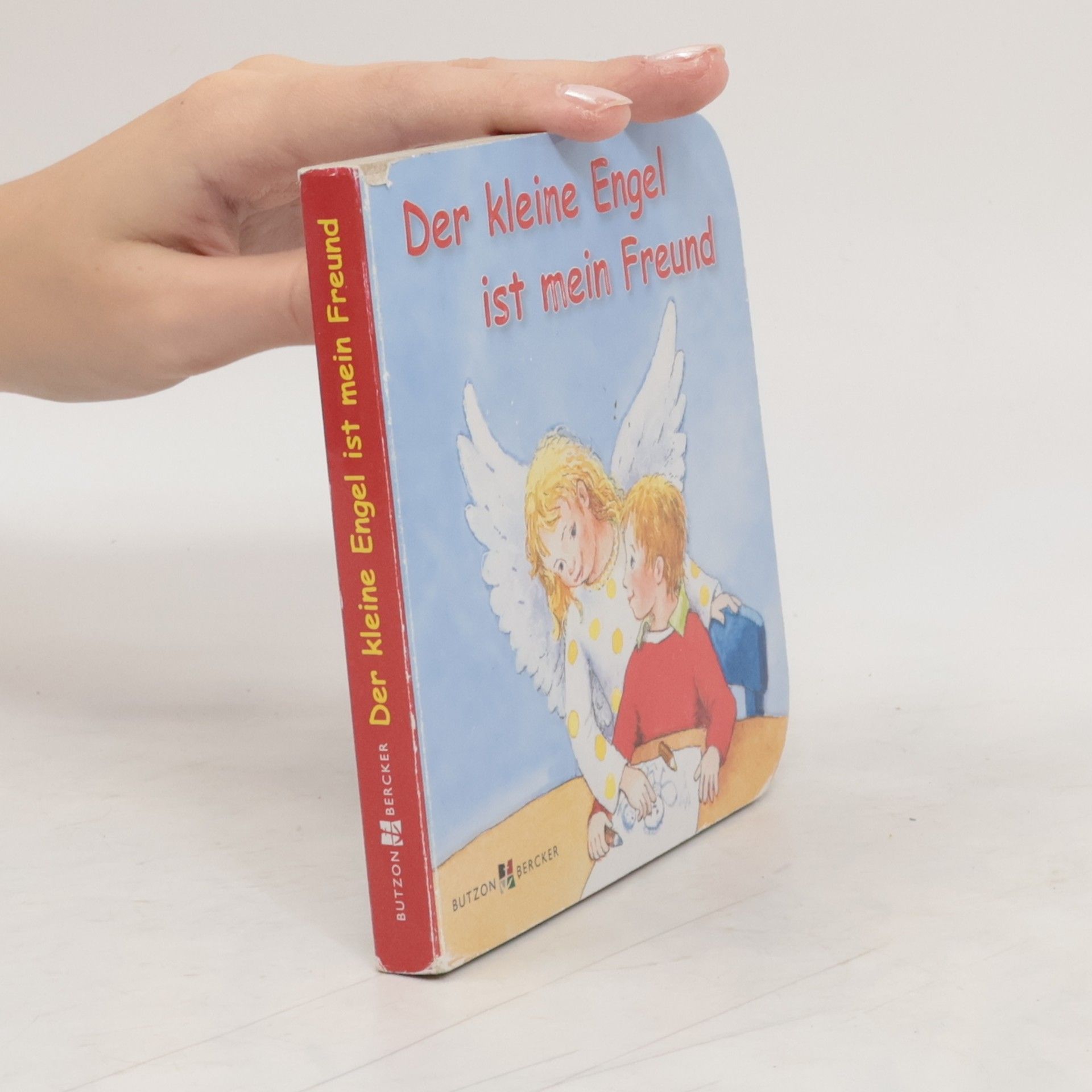 Susanne Schwandt Der kleine Engel ist mein Freund