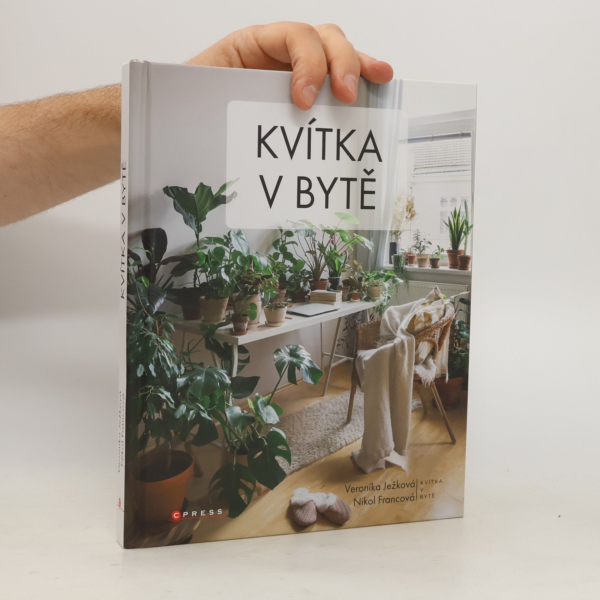 Veronika Ježková Kvítka v bytě