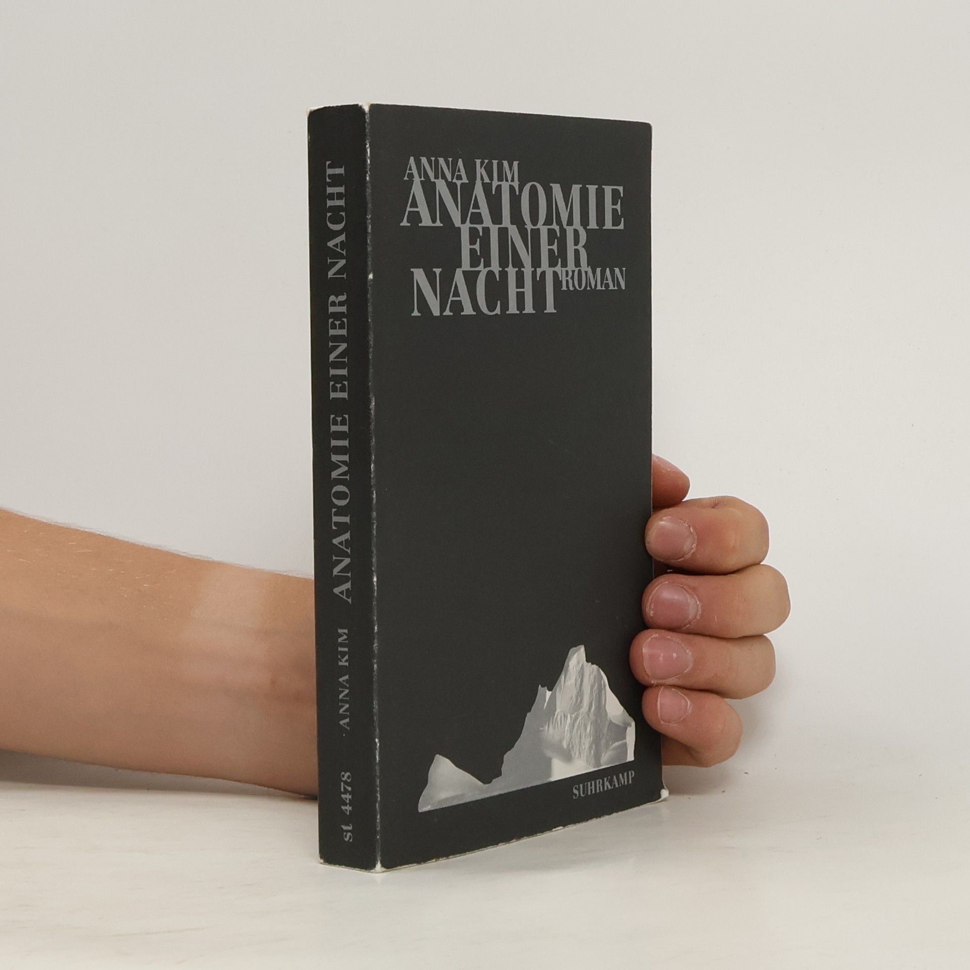 Anna Kim Anatomie einer Nacht