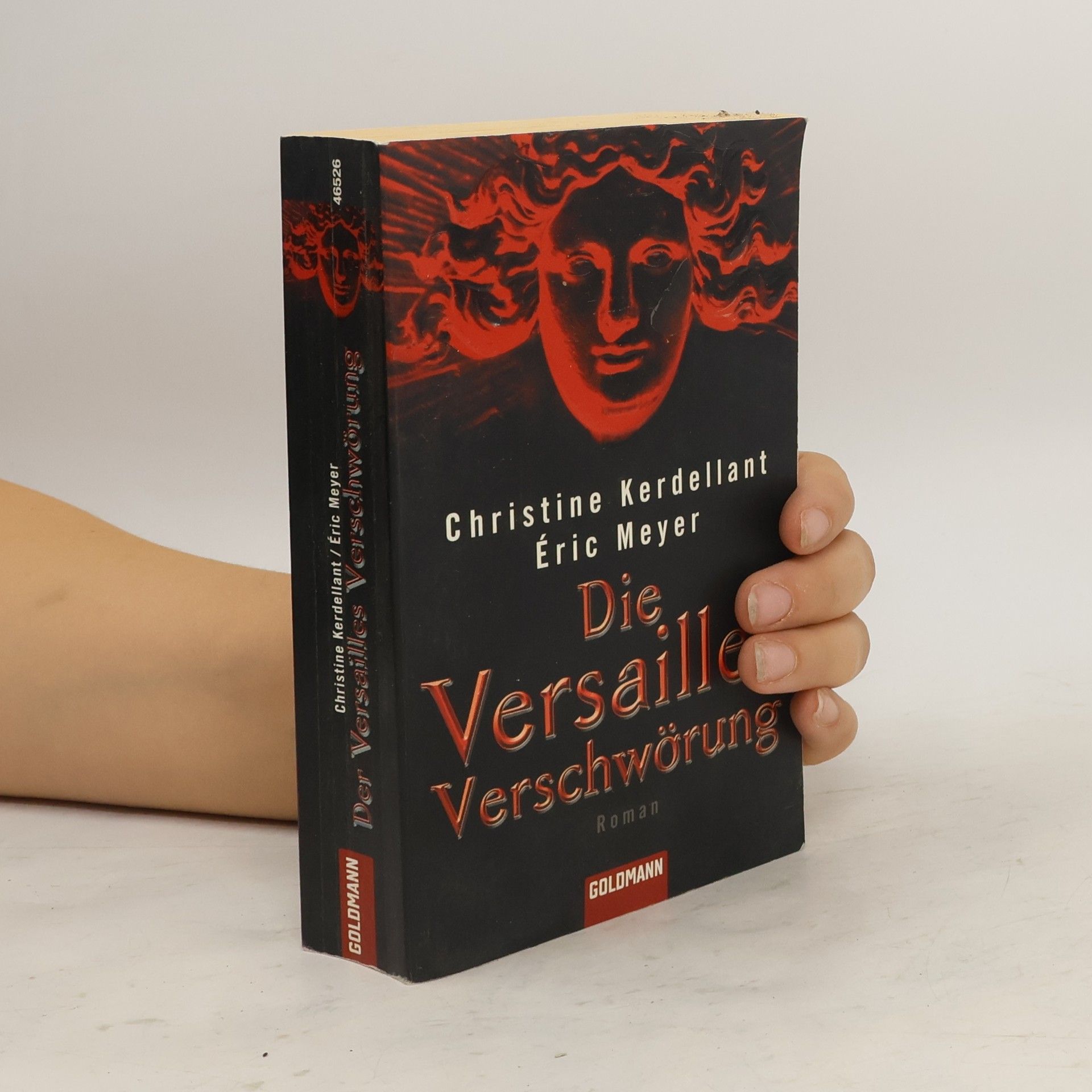 Christine Kerdellant Die Versailles-Verschwörung