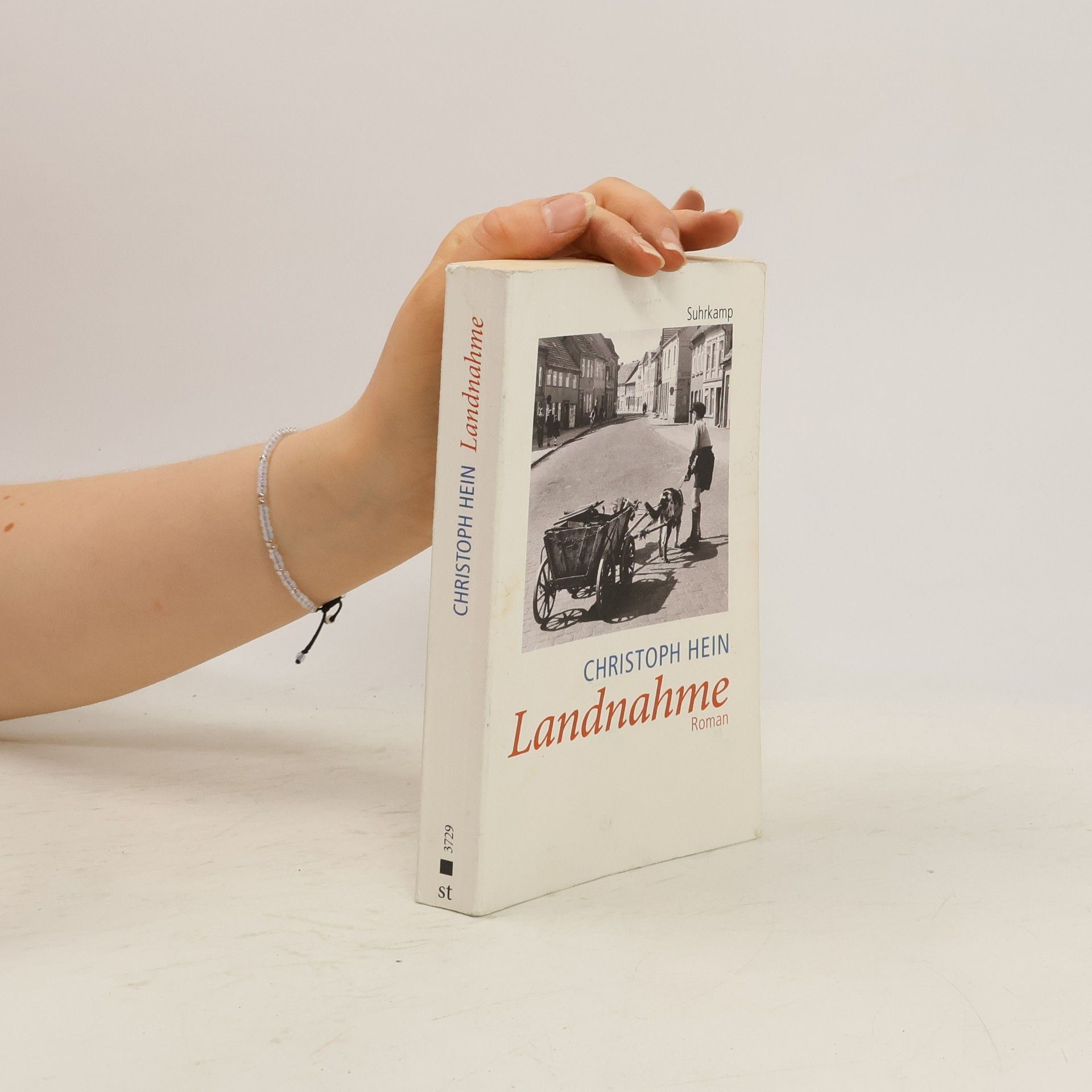 Christoph Hein Landnahme