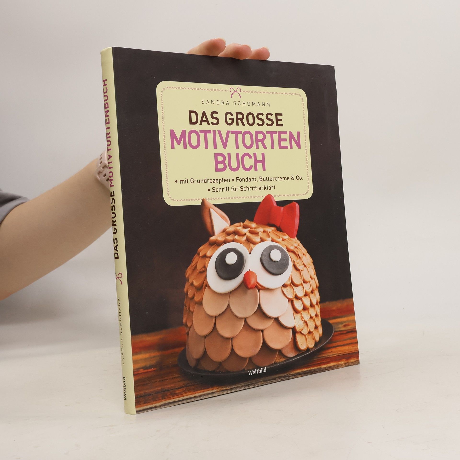 Sandra Schumann Das große Motivtortenbuch