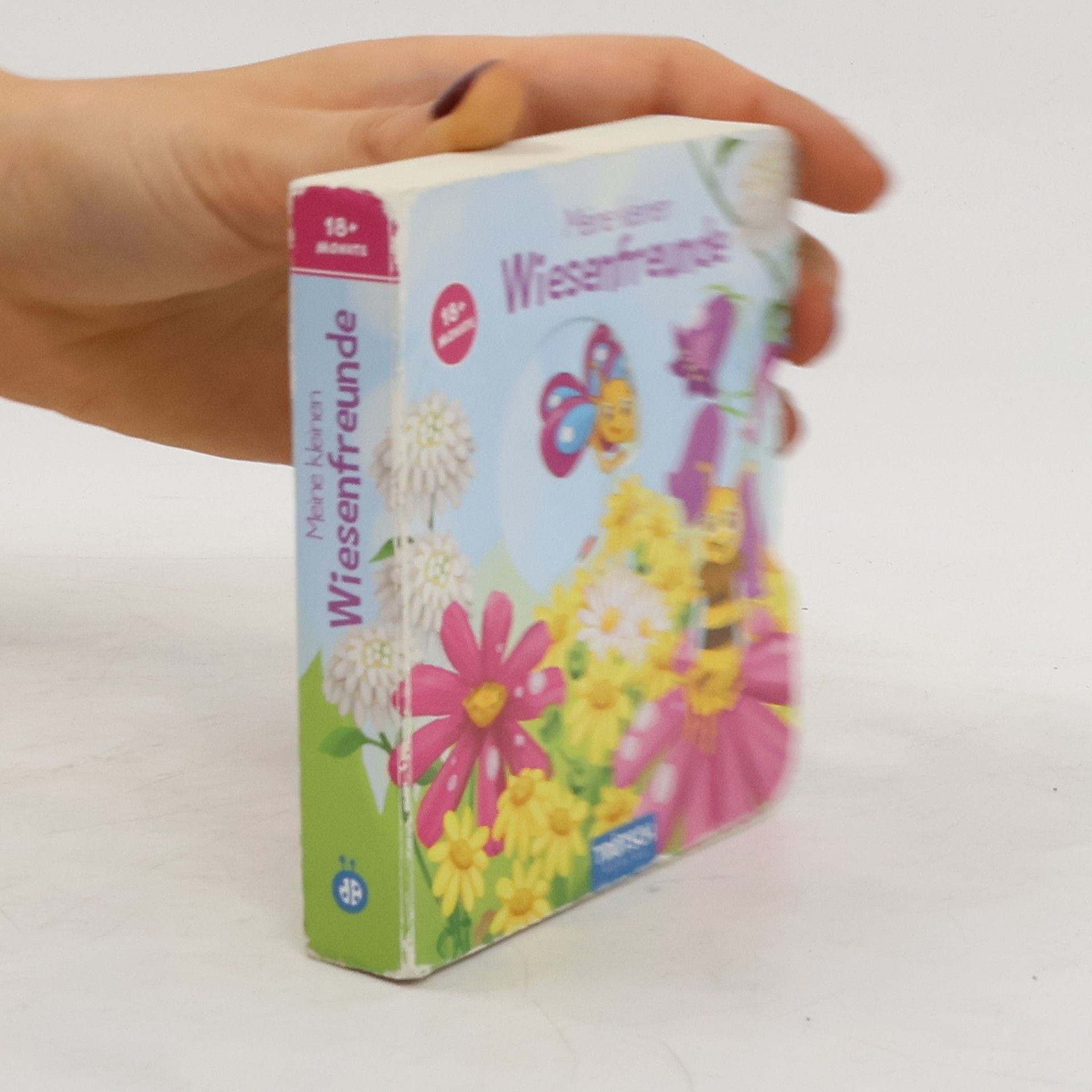 Anja Angelmahr Meine kleinen Wiesenfreunde