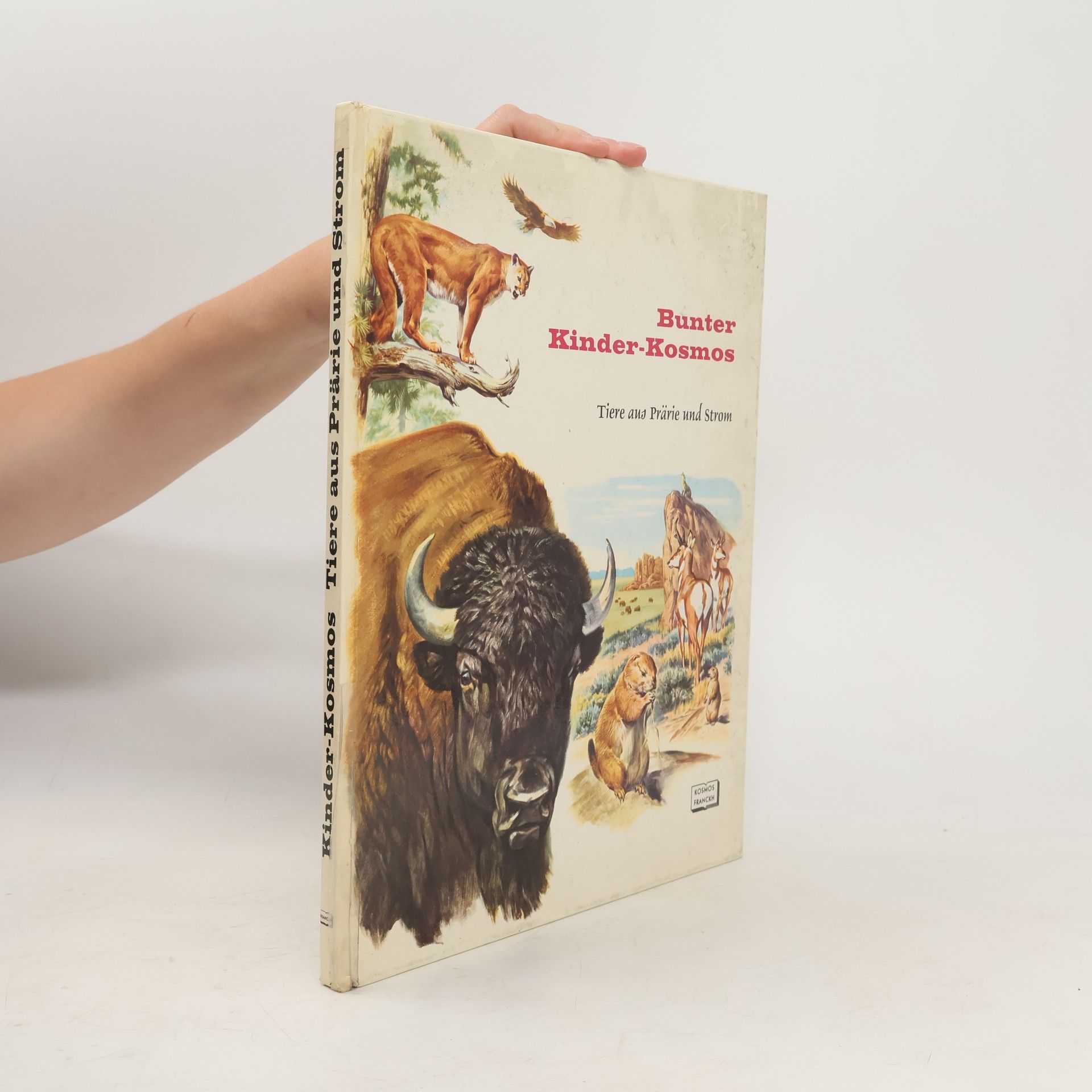 Rinaldo D. D'Ami Bunter Kinder-Kosmos. Tiere aus Prärie und Strom