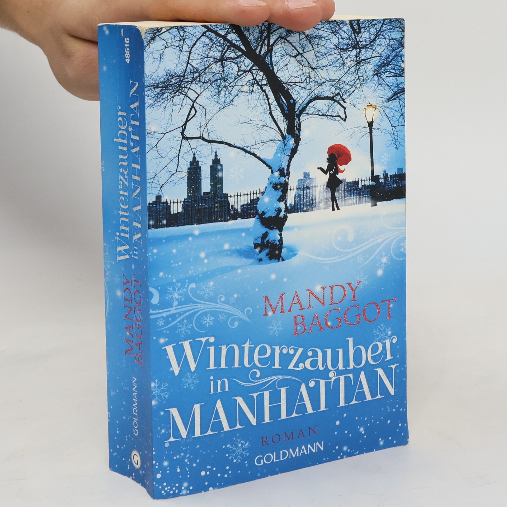 Mandy Baggot Winterzauber in Manhattan