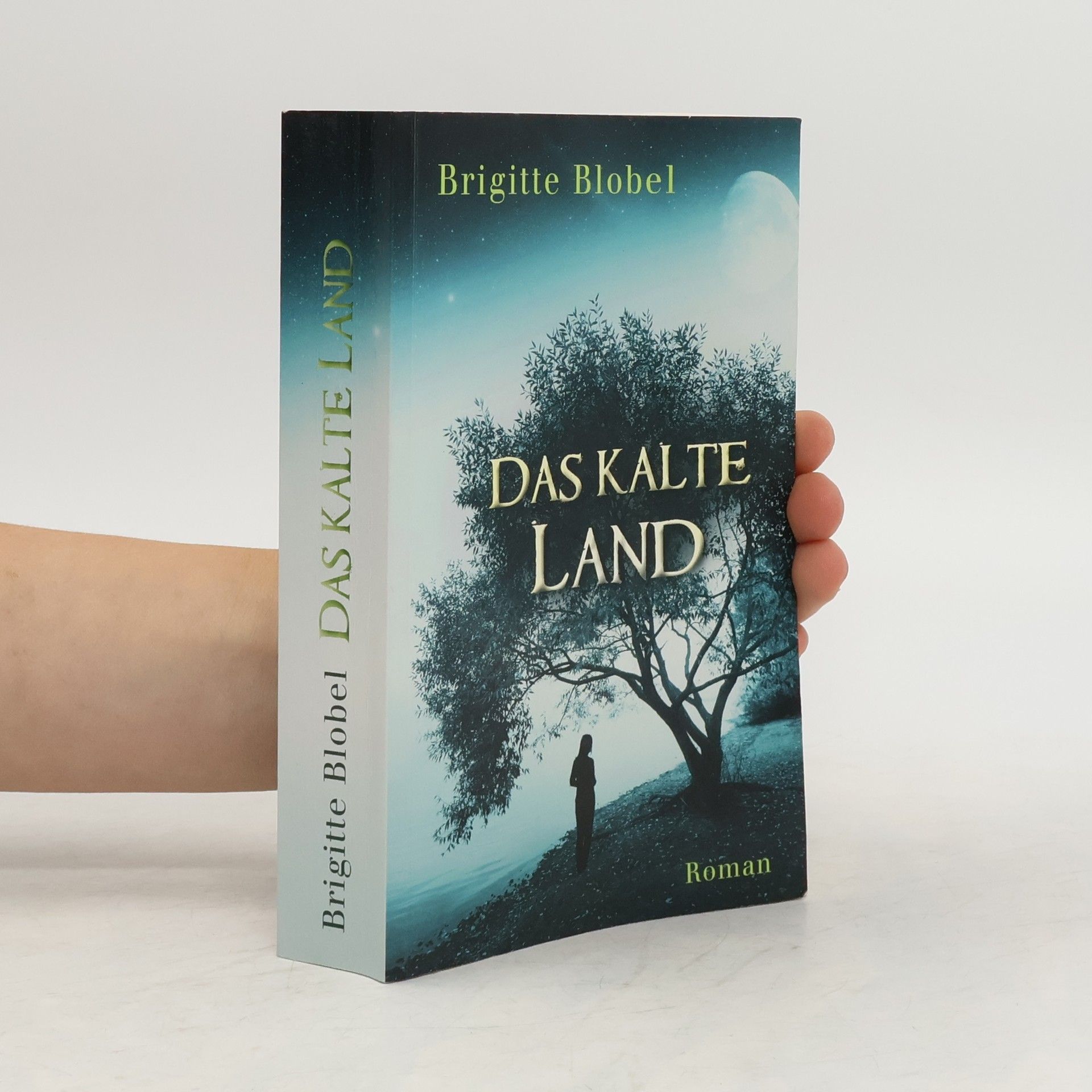 Brigitte Blobel Das kalte Land