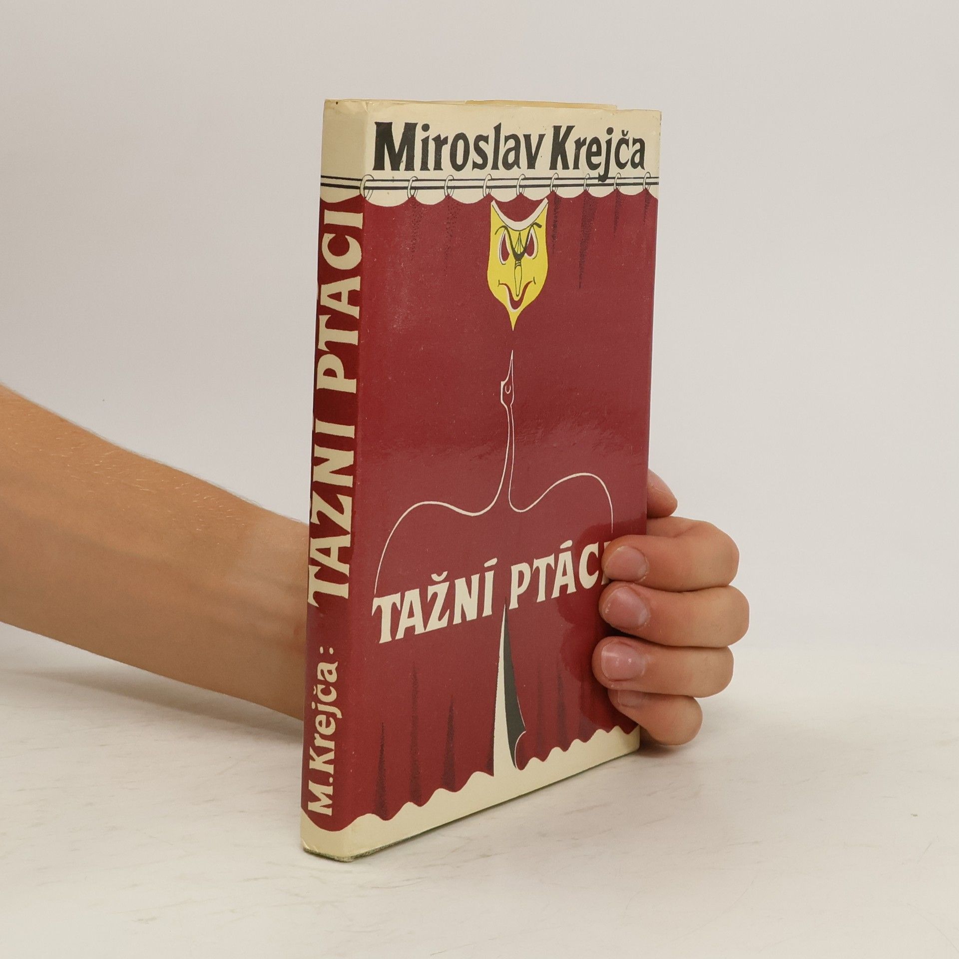 Lubor Friedrich Tažní ptáci