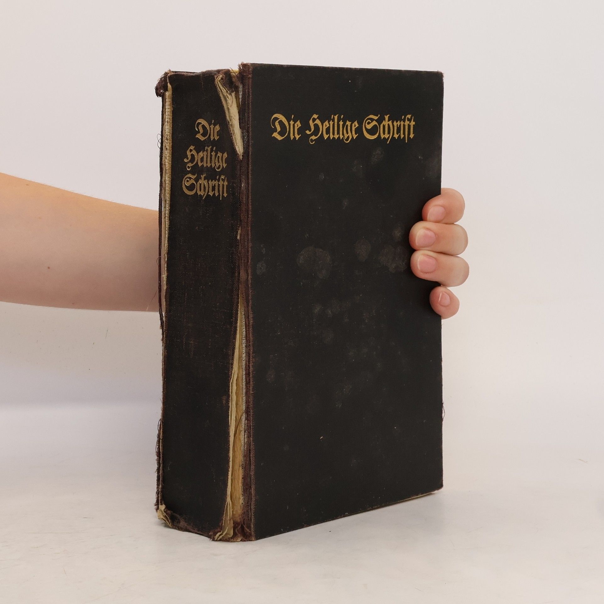 Autorenkollektiv Die heilige Schrift