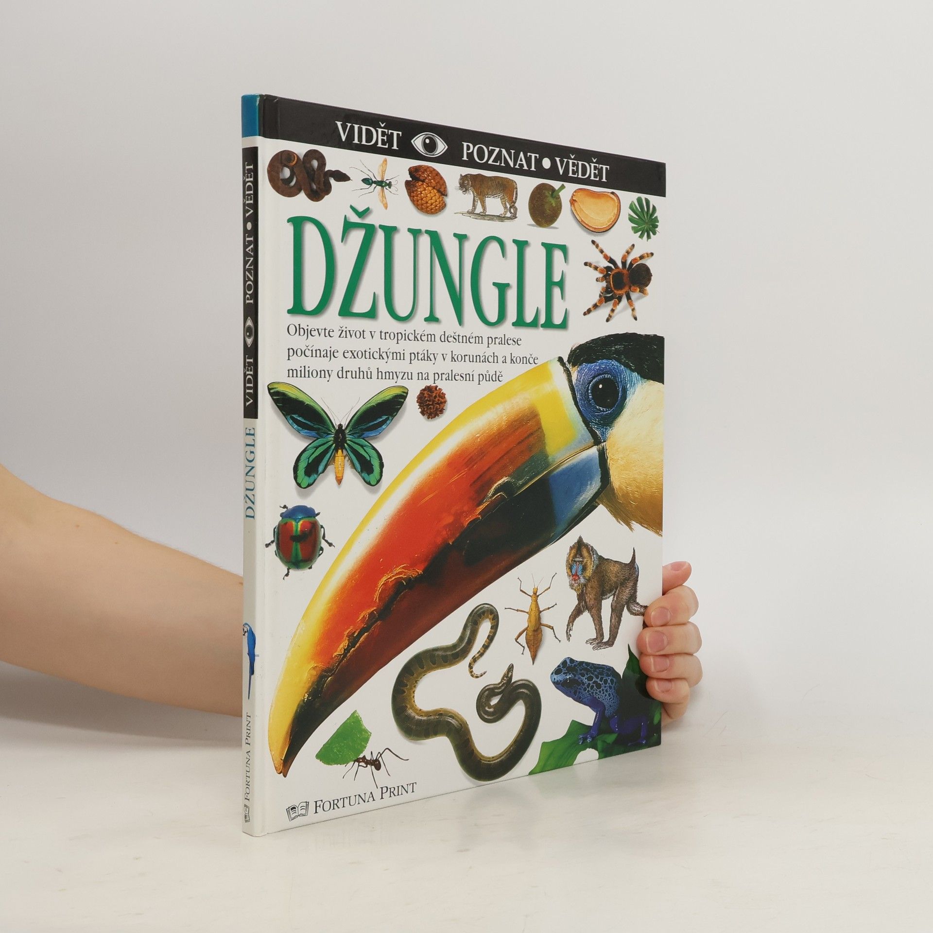 Theresa Greenaway Džungle