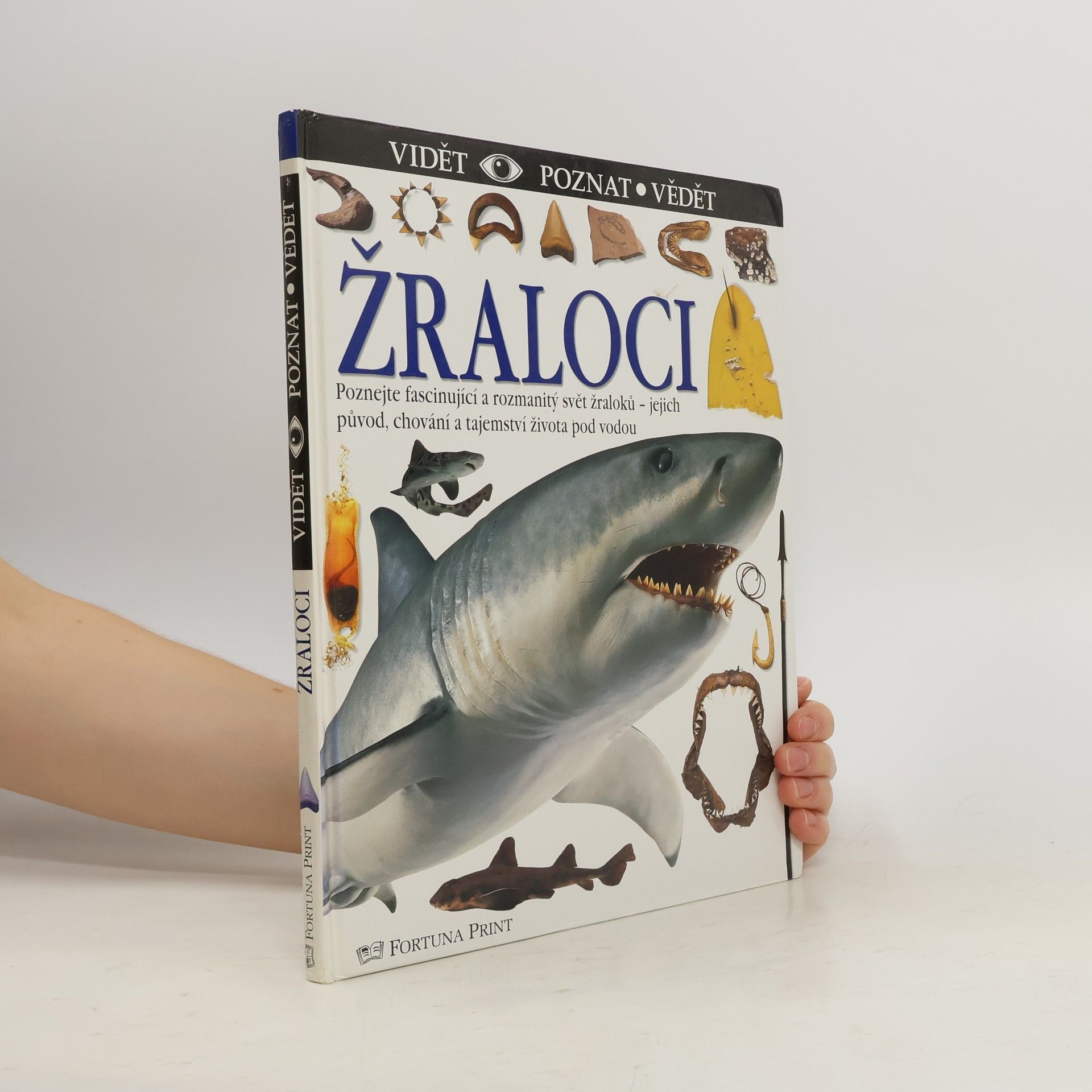 Miranda MacQuitty Žraloci
