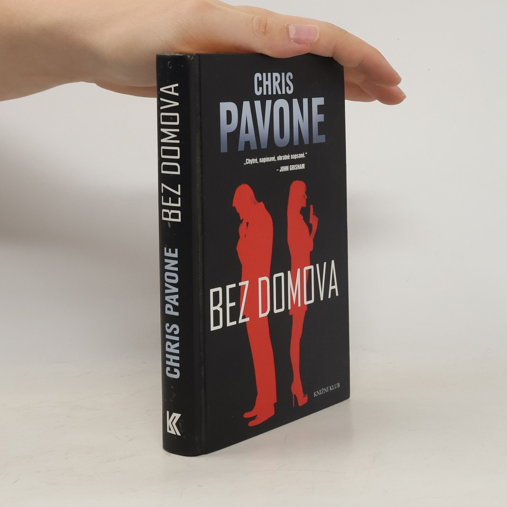 Chris Pavone Bez domova