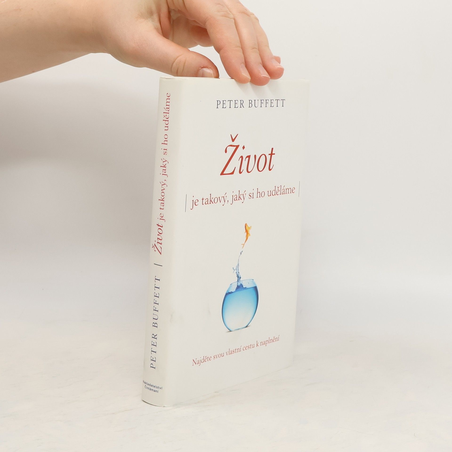 Peter Buffett Život je takový, jaký si ho uděláme