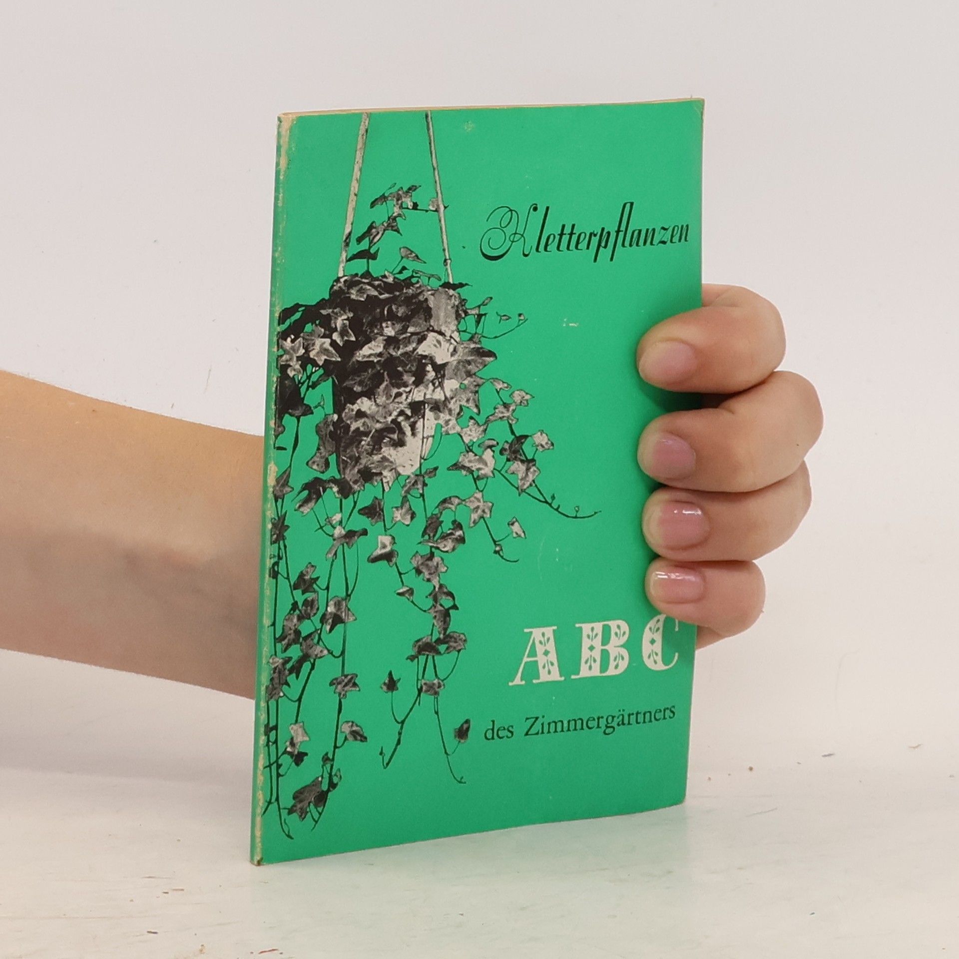 Collectif d'auteurs ABC des Zimmergärtners