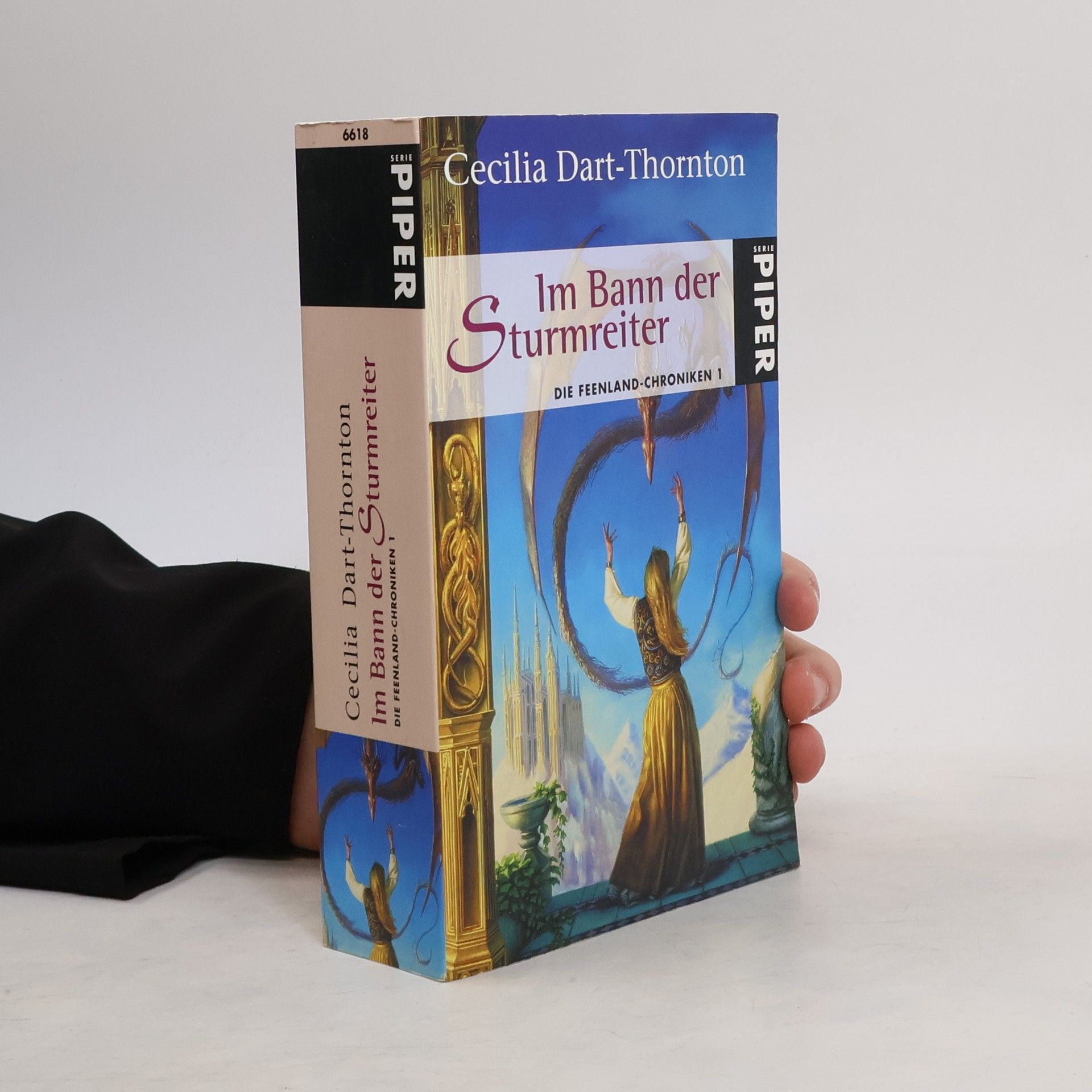Cecilia Dart-Thornton Im Bann der Sturmreiter. Die Feenland-Chroniken 1