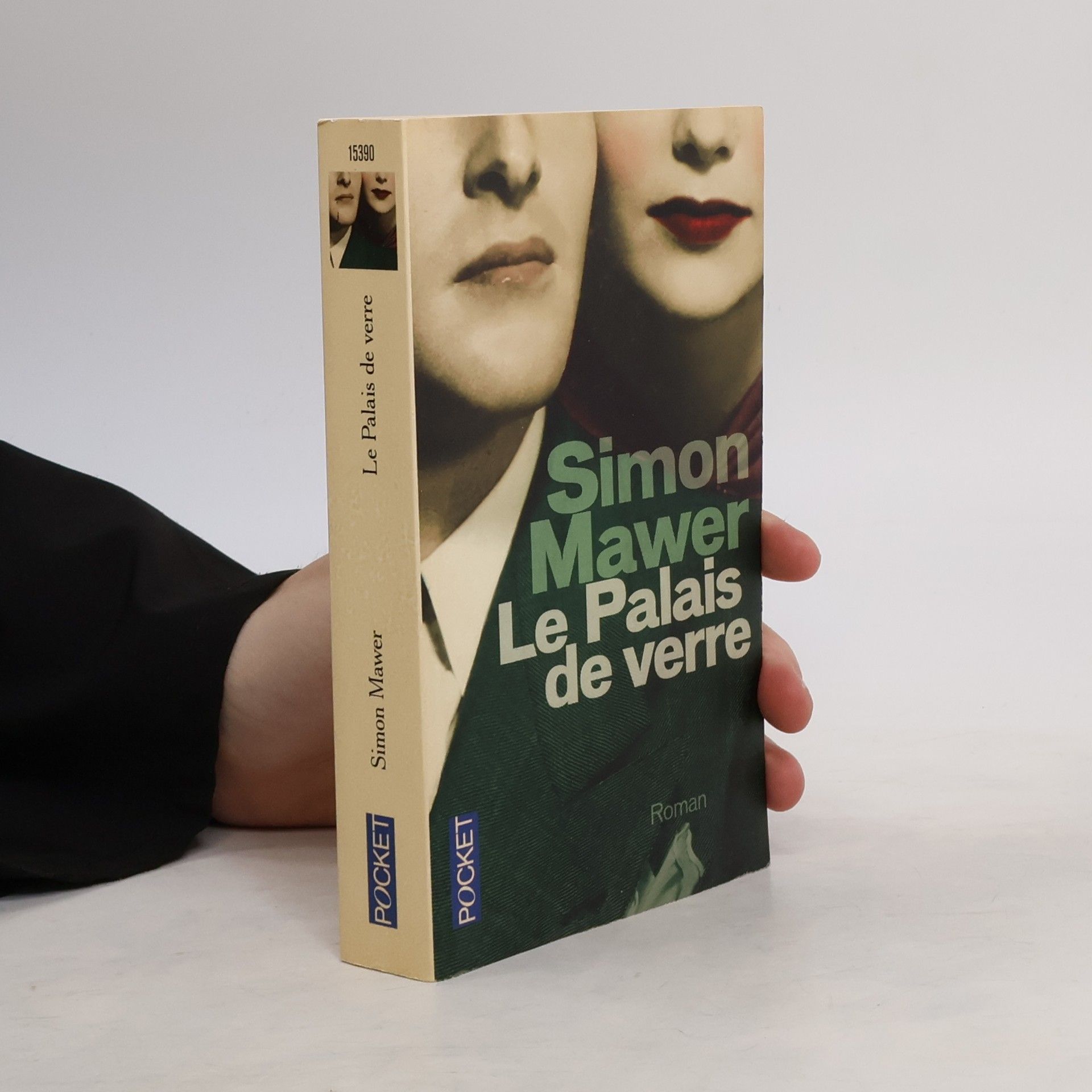 Simon Mawer Le Palais de verre