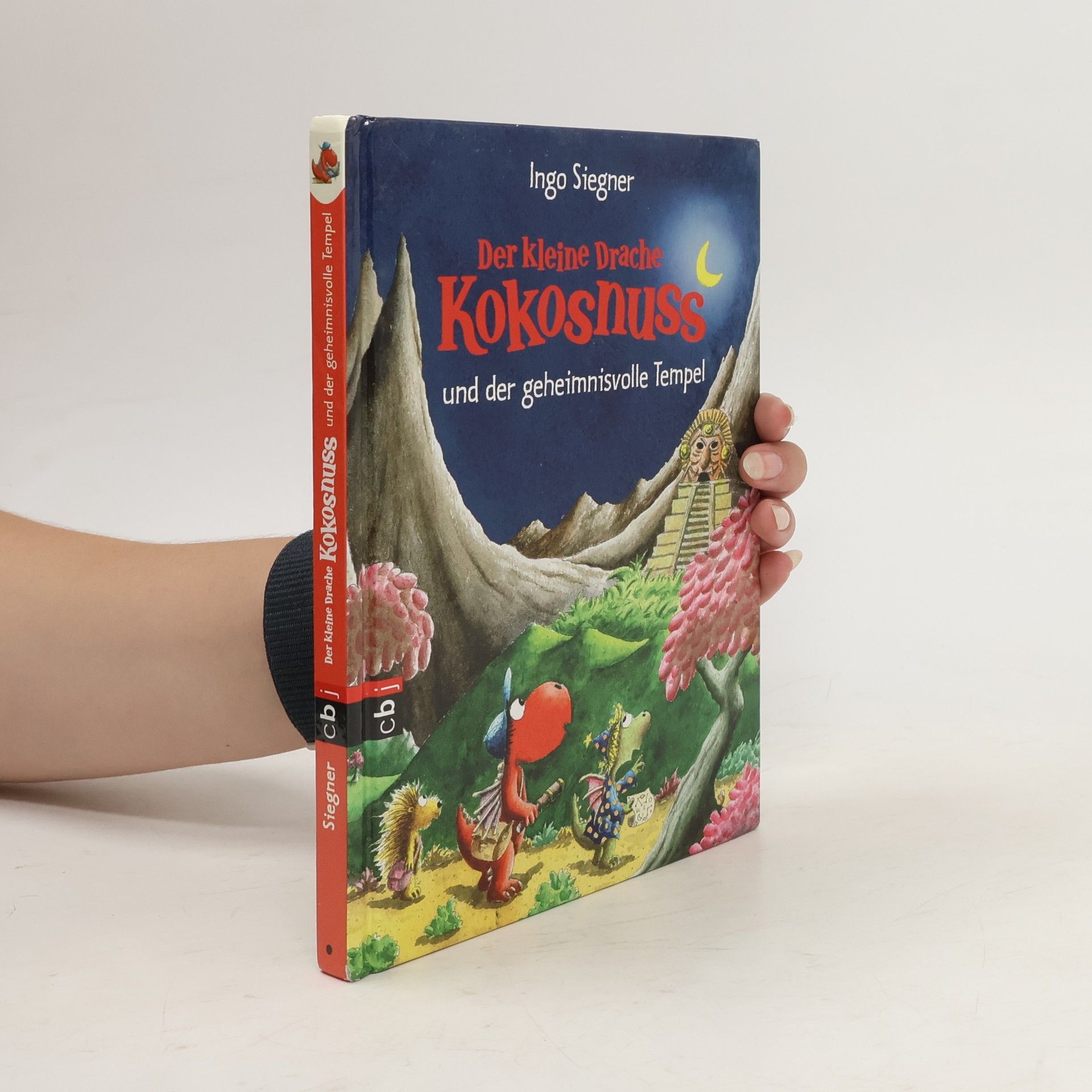 Ingo Seigner Der kleine Drache Kokosnuss und der geheimnisvolle Tempel