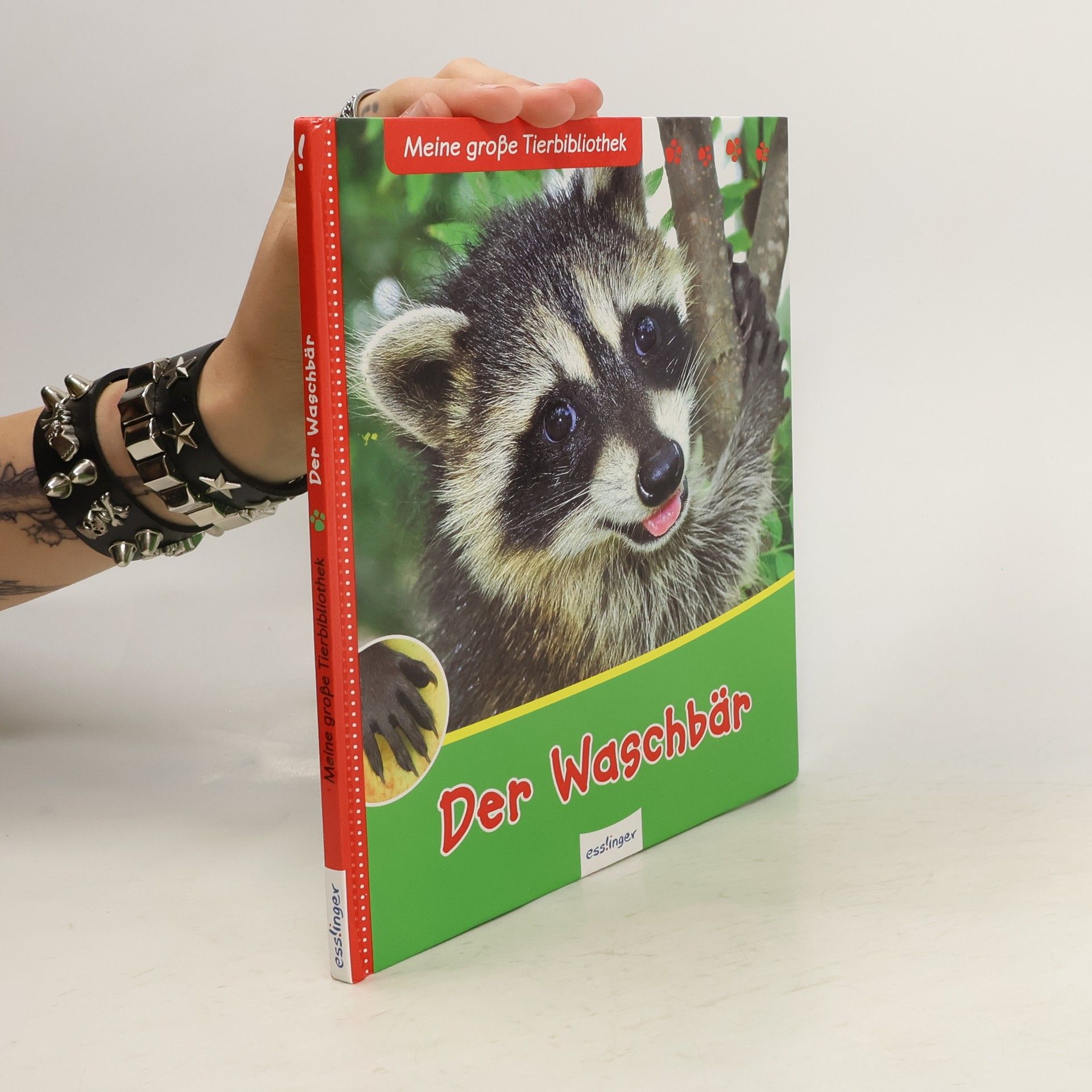 Axel Gutjahr Der Waschbär