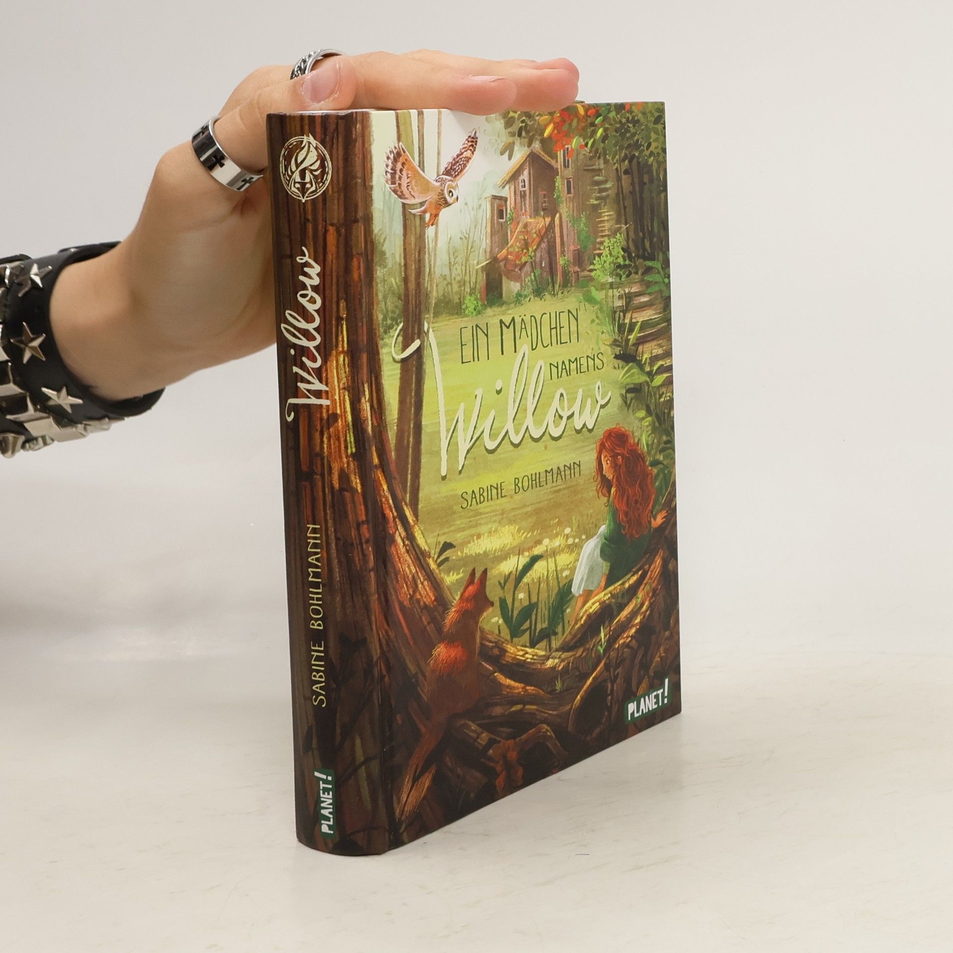 Sabine Bohlmann Ein Mädchen namens Willow