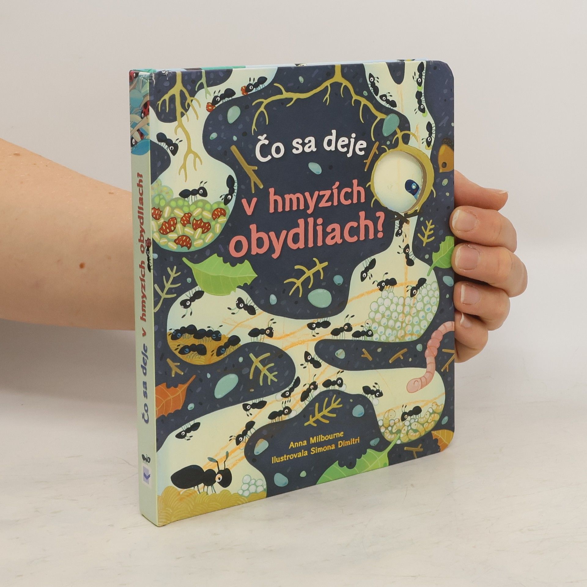 Anna Milbourne Čo sa deje v hmyzích obydliach?