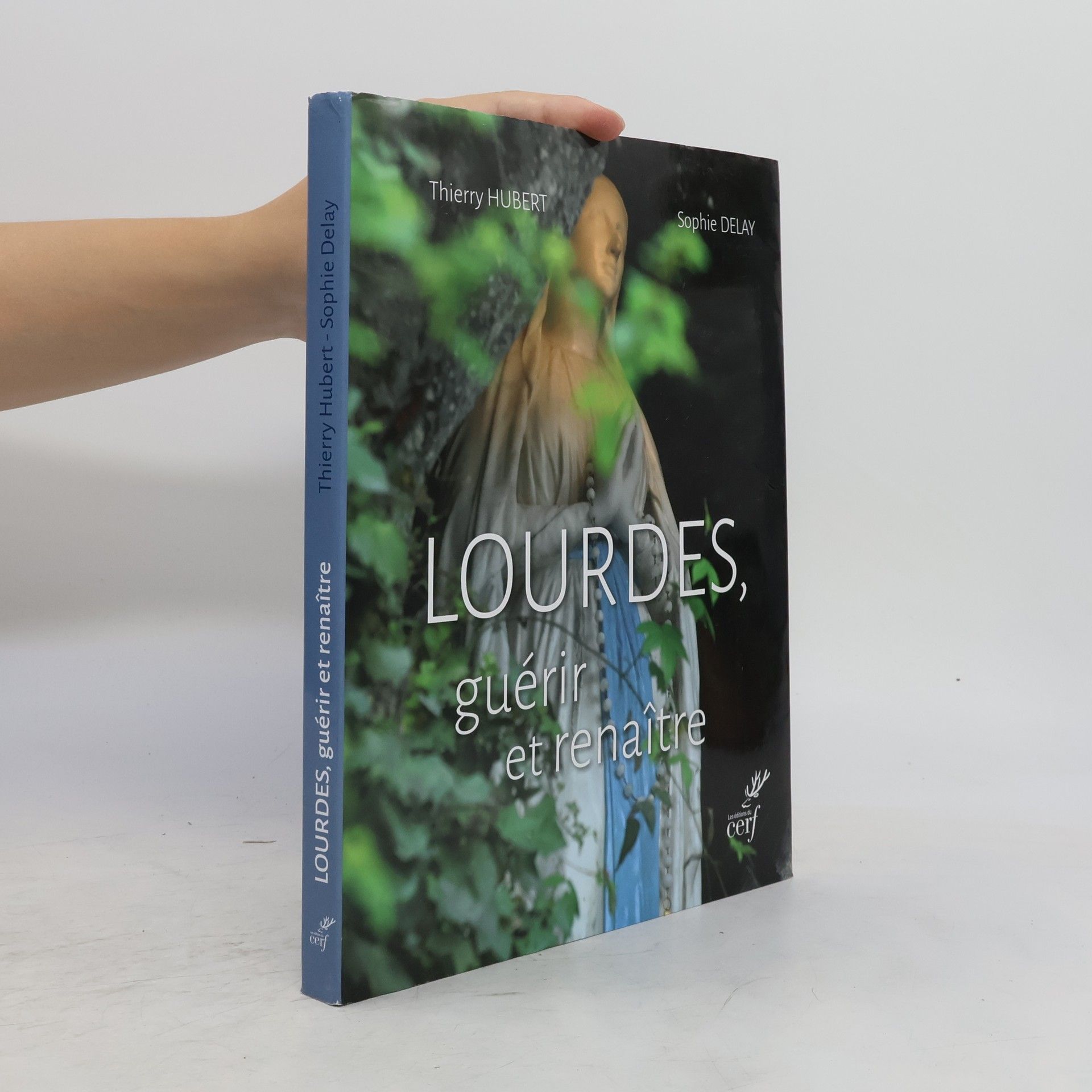 Collectif d'auteurs Lourdes, guérir et renaître