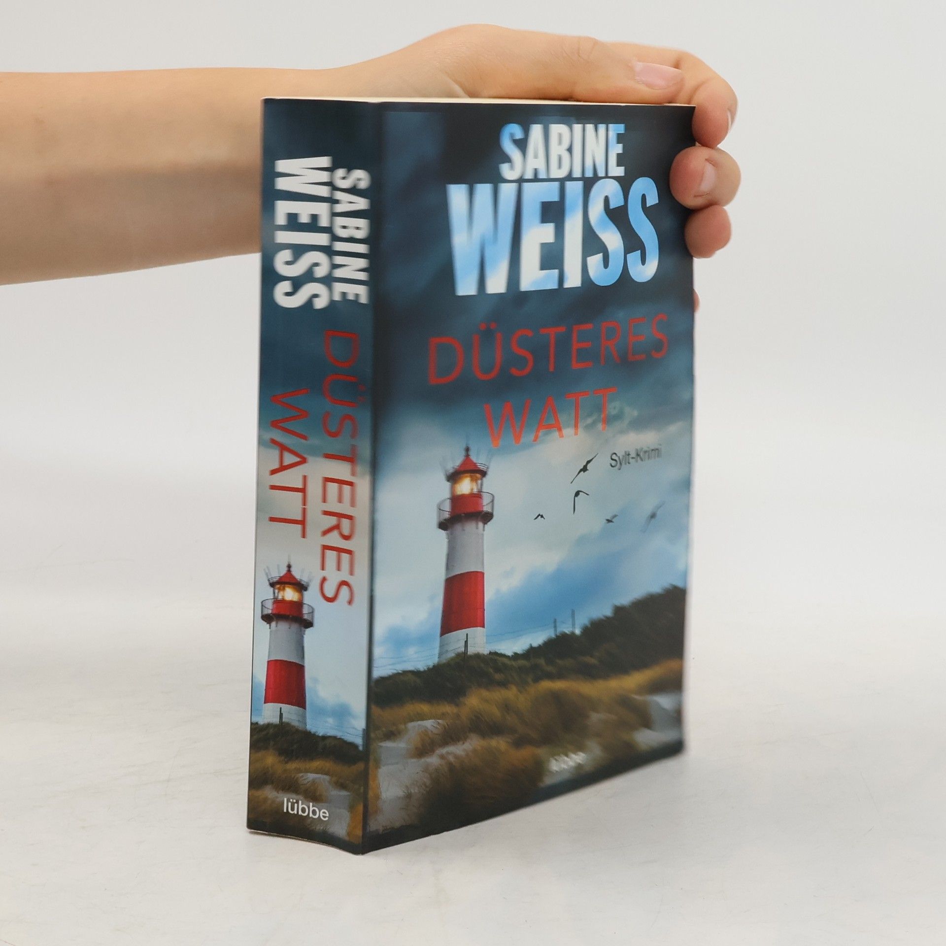 Sabine Weiß Düsteres Watt