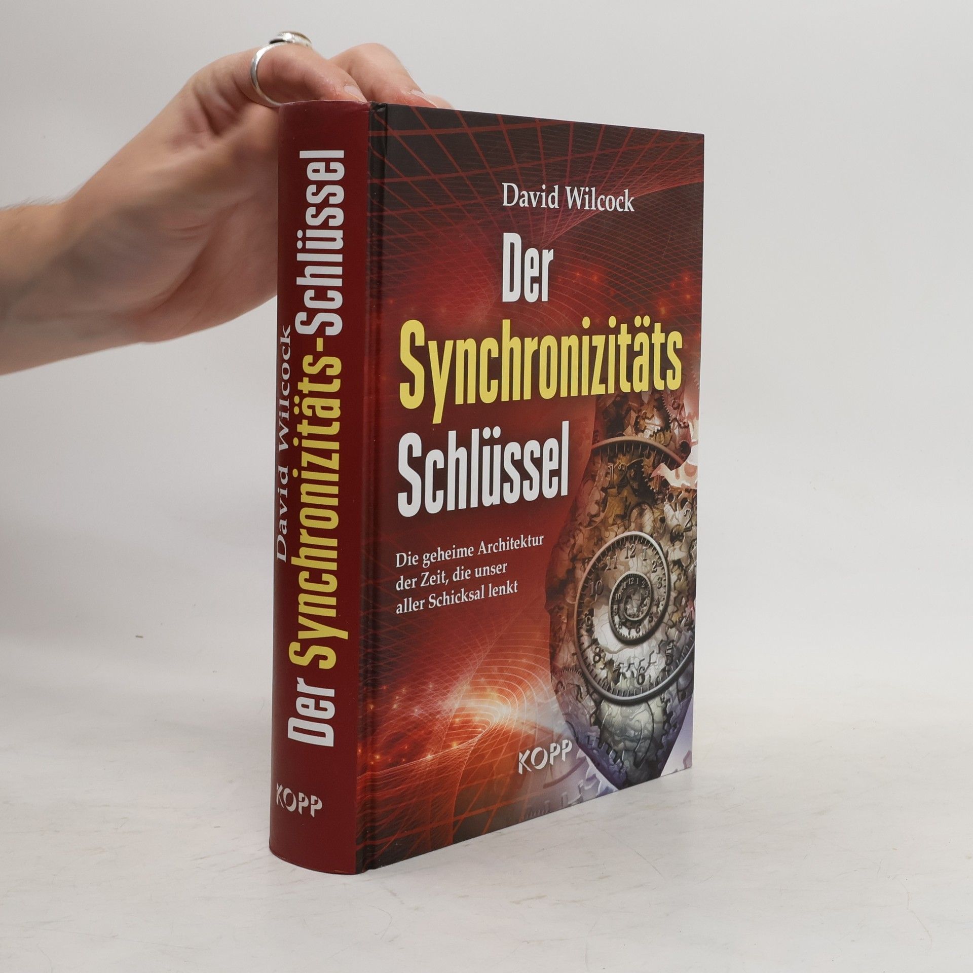David Wilcock Der Synchronizitäts-Schlüssel