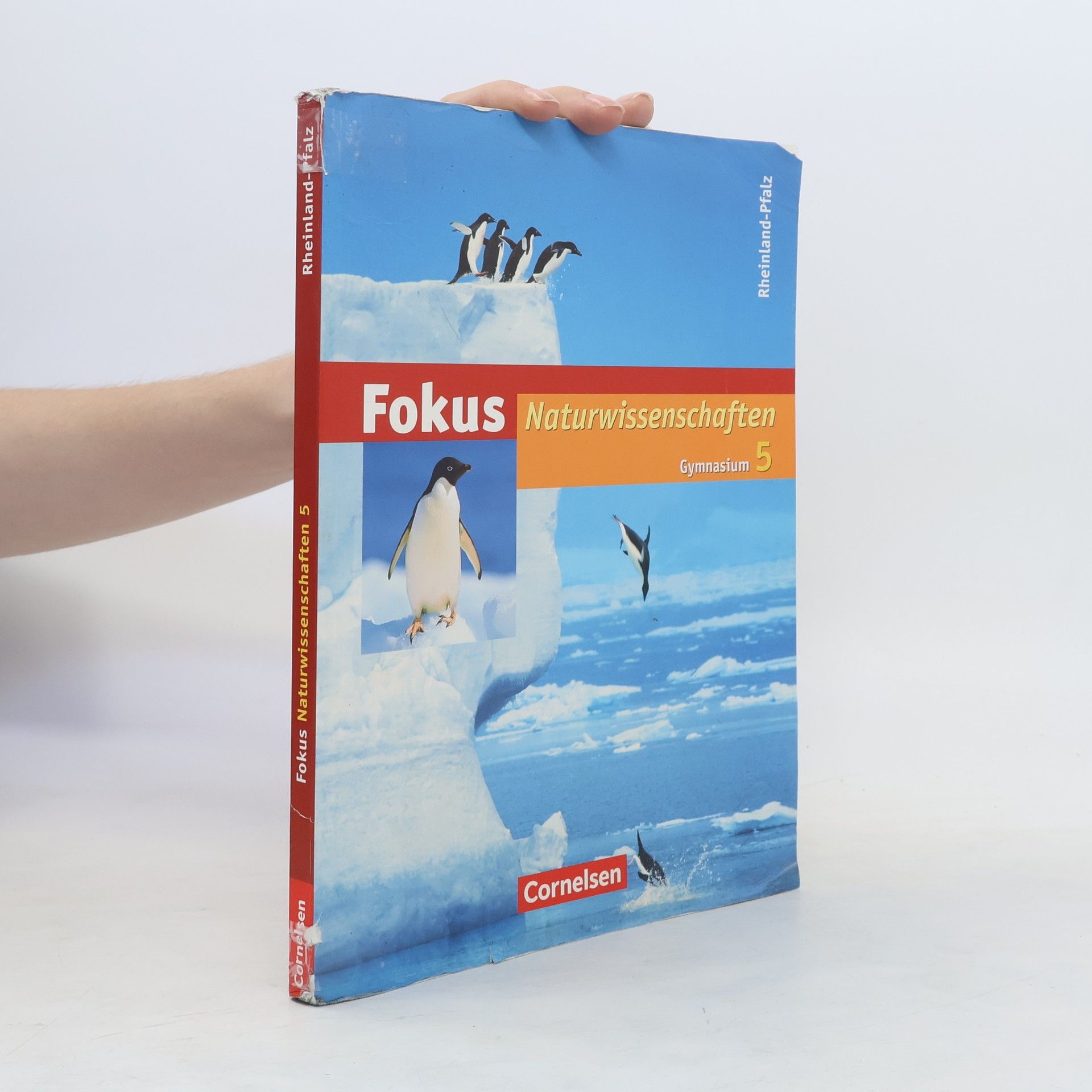 Gerd Boysen 5. Schuljahr, Schülerbuch