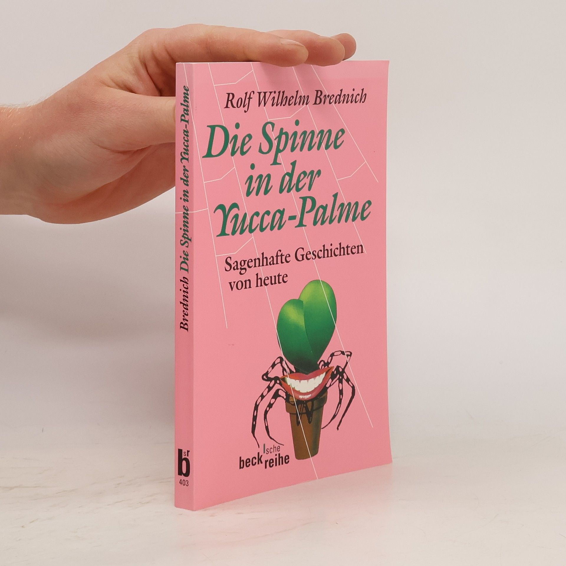 Rolf Wilhelm Brednich Die Spinne in der Yucca-Palme