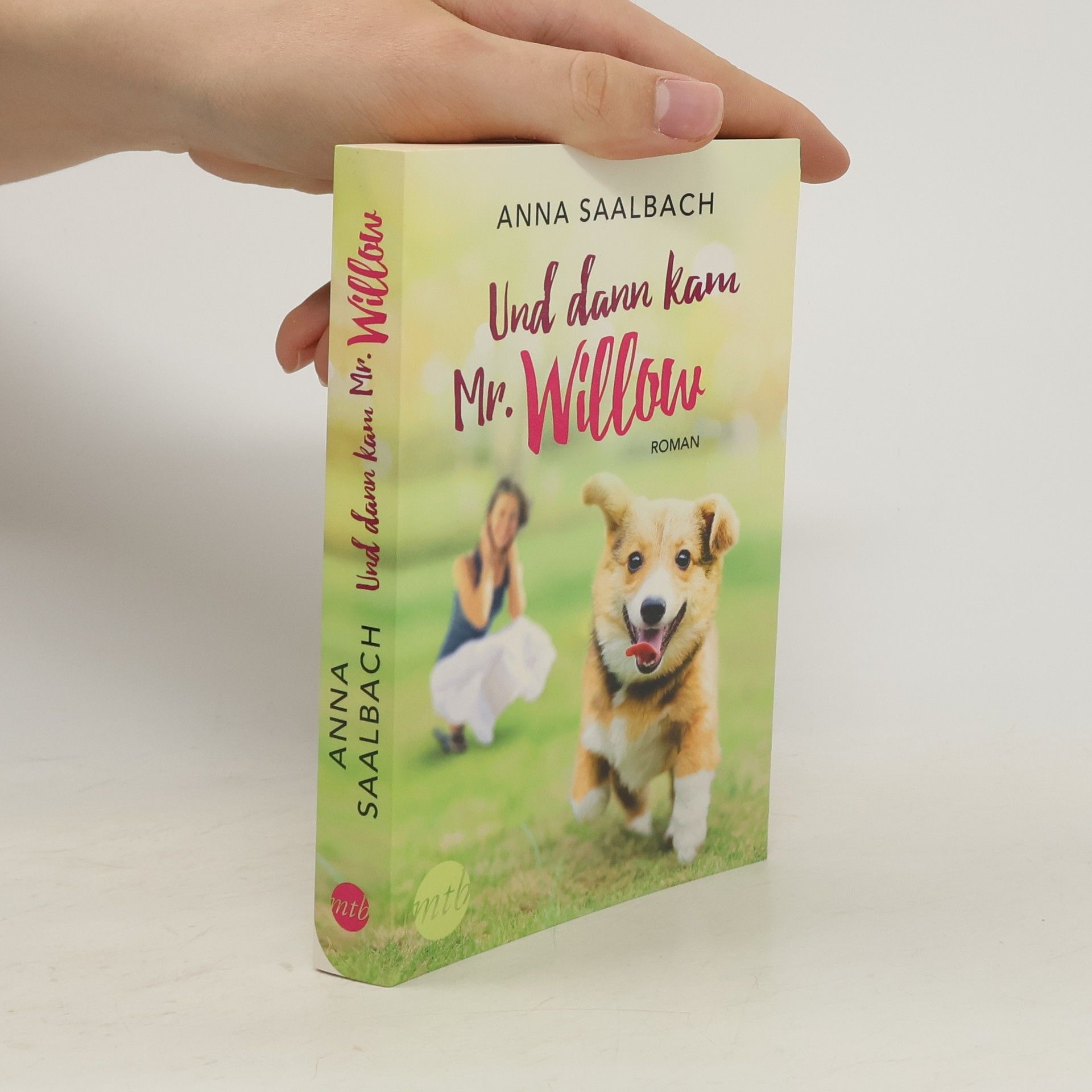 Anna Saalbach Und dann kam Mr. Willow