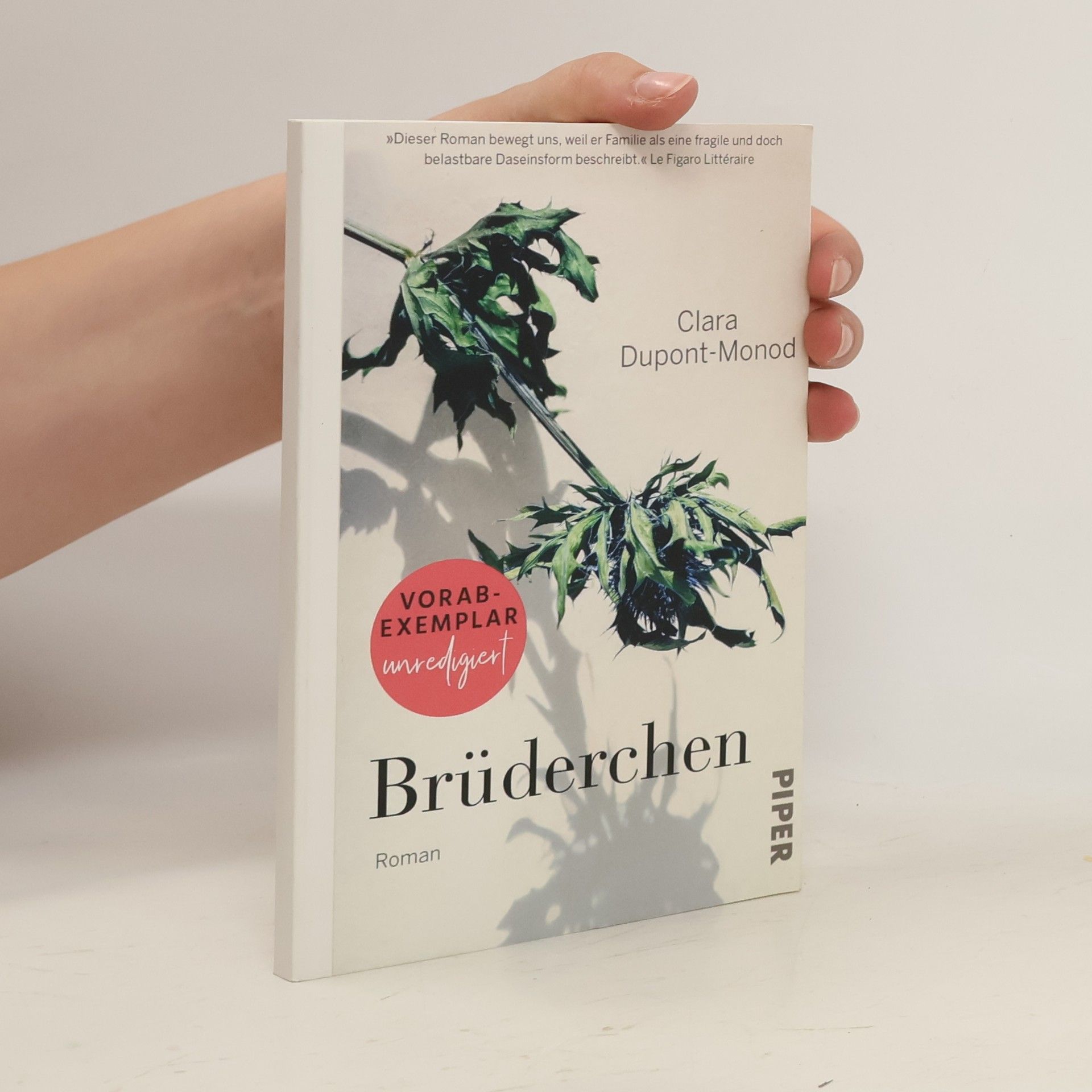 Clara Dupont-Monod Brüderchen