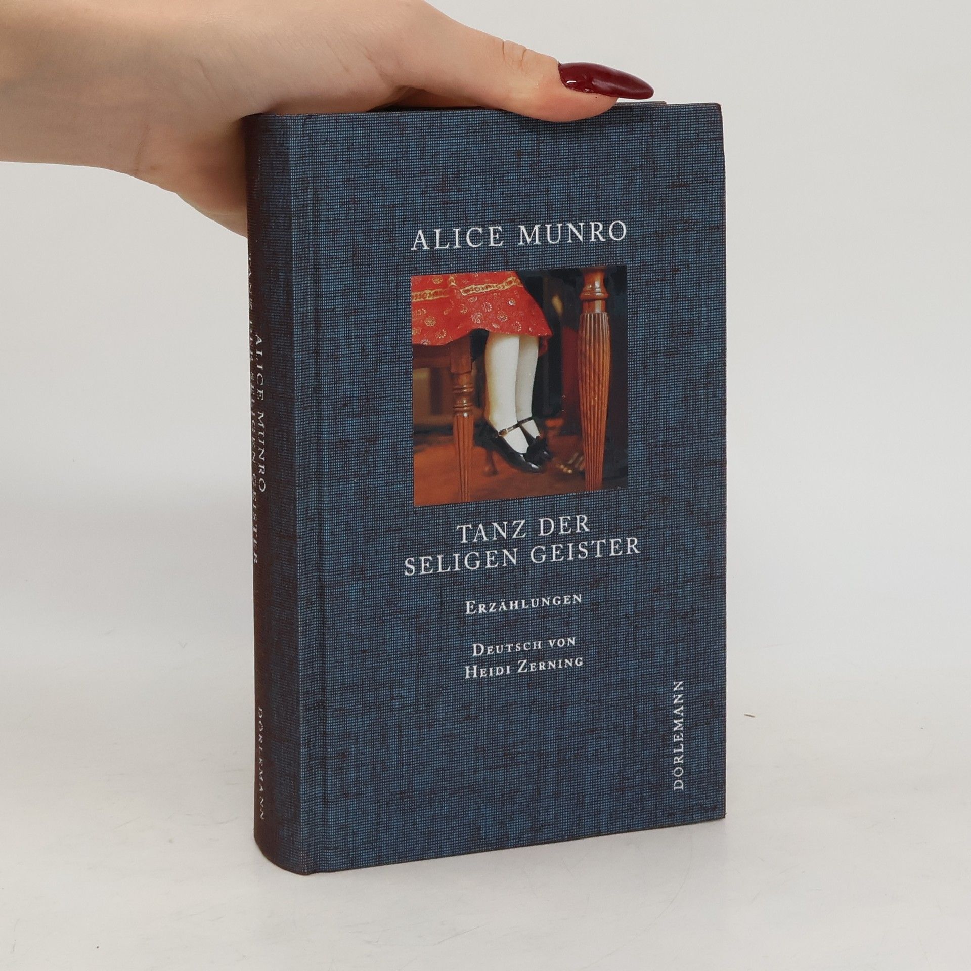 Alice Munro Tanz der seligen Geister