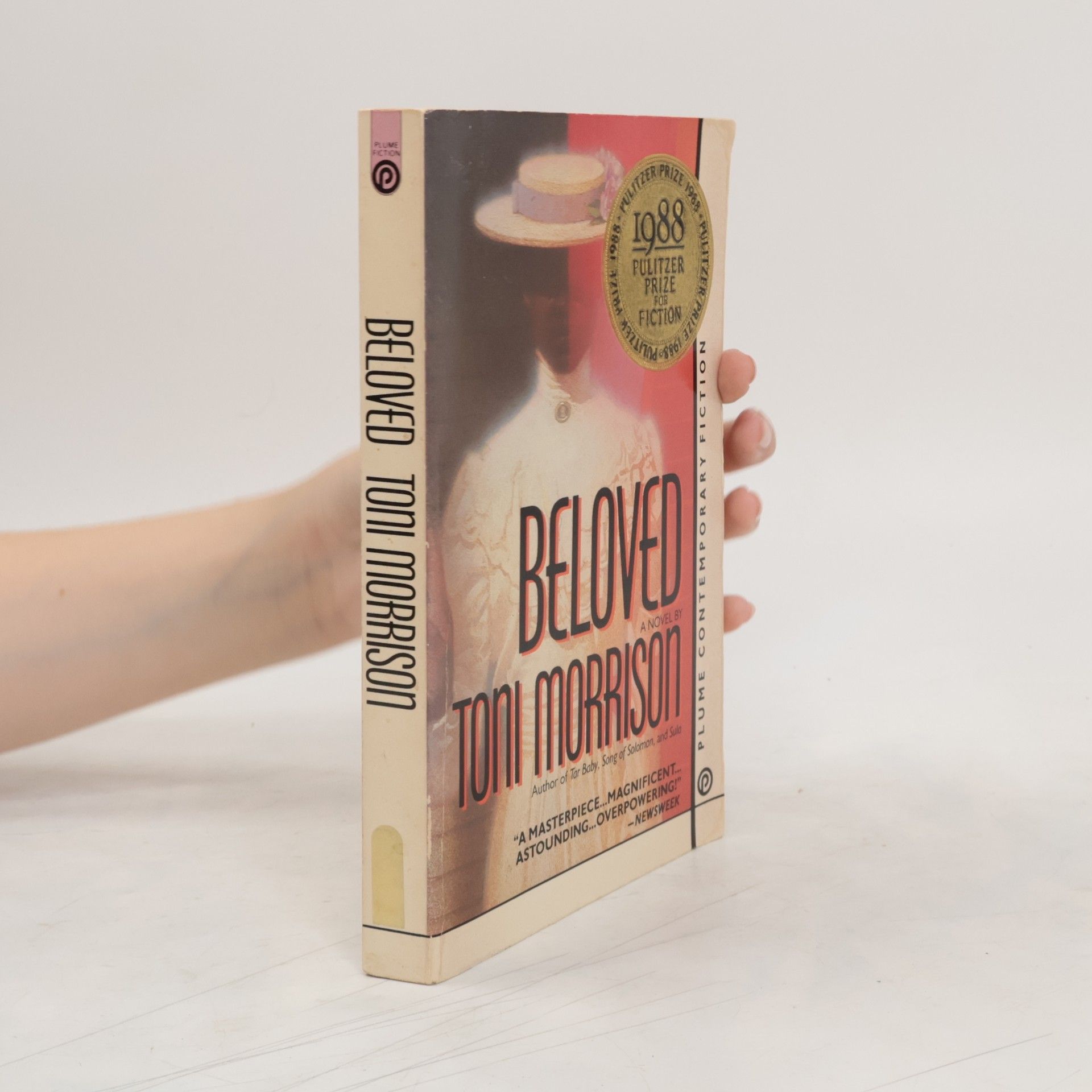 Toni Morrison Beloved : a novel
