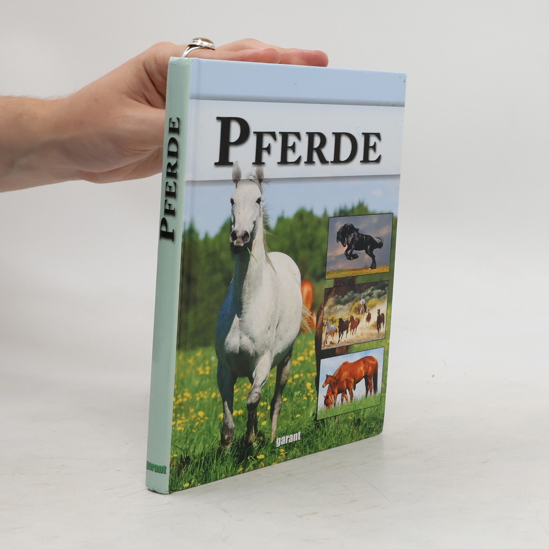 Autorenkollektiv Pferde