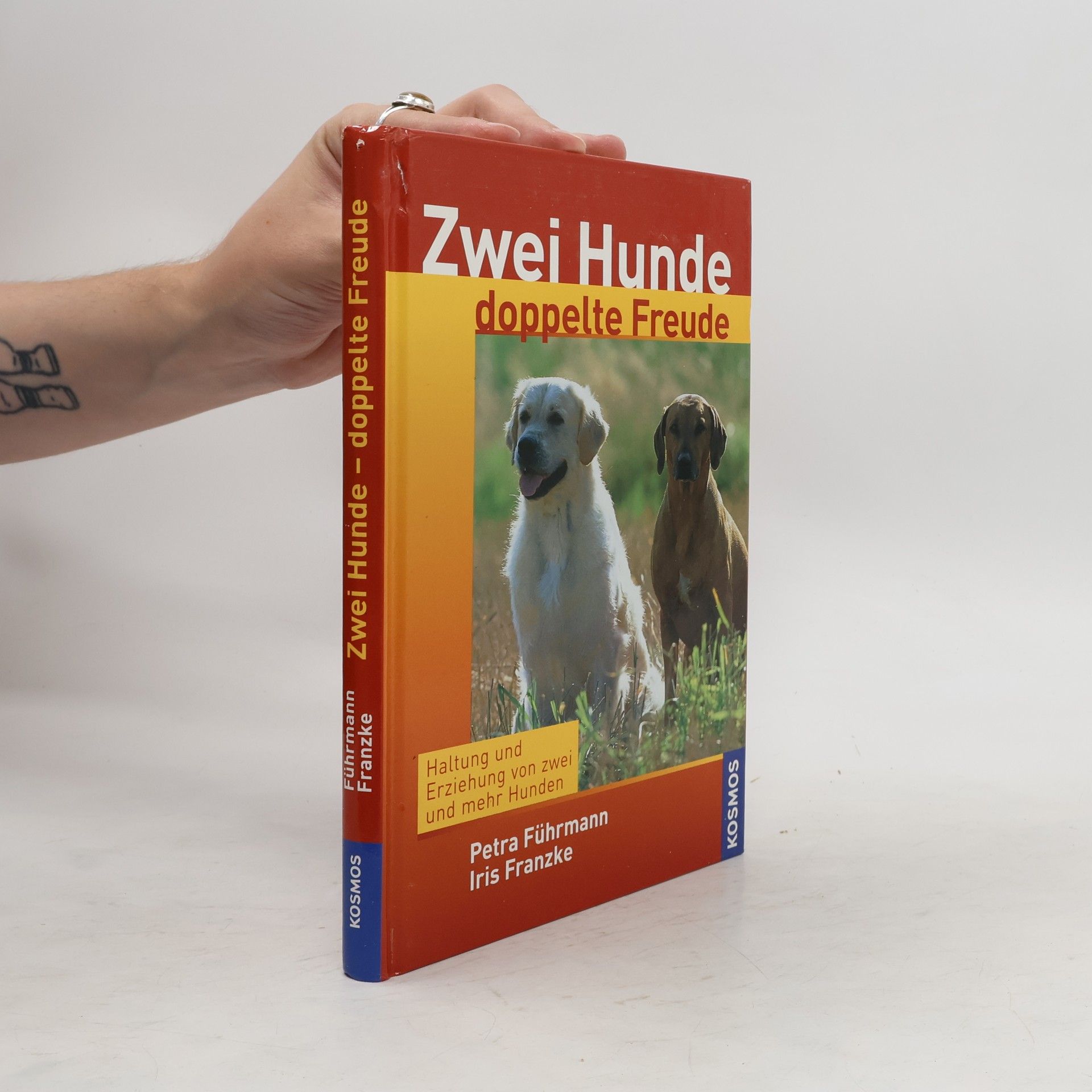 Petra Führmann Zwei Hunde - doppelte Freude