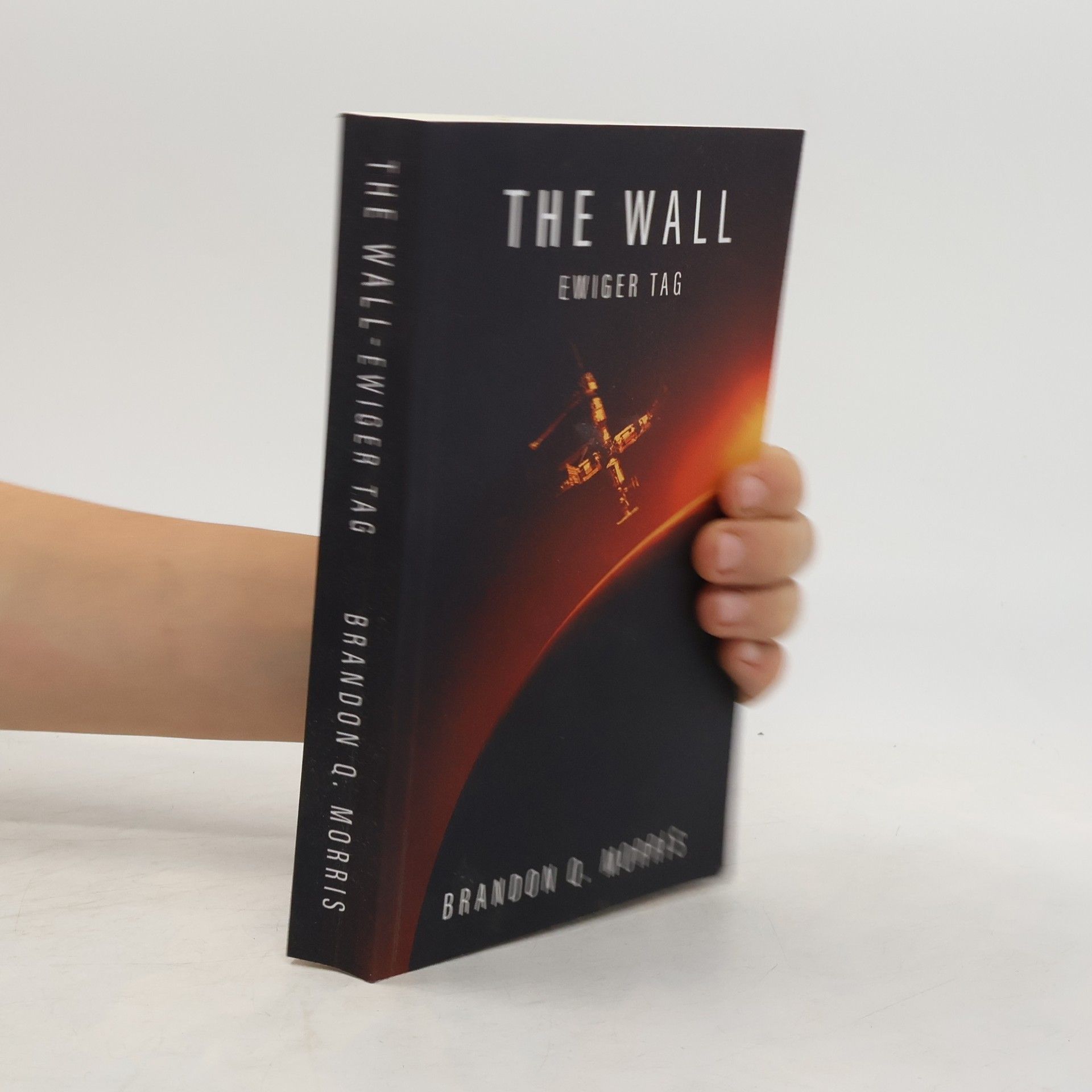 Brandon Q. Morris The Wall. Ewiger Tag