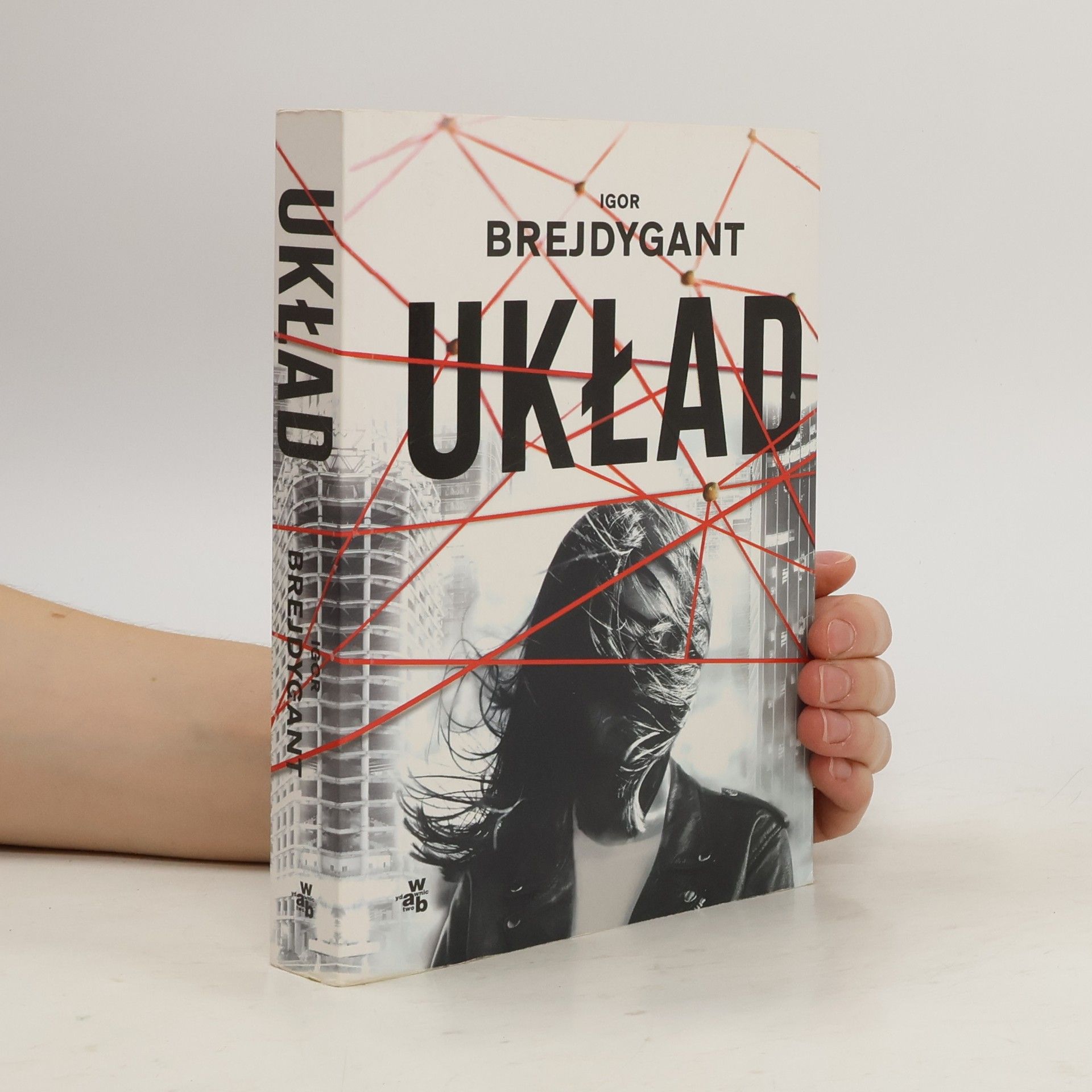 Igor Brejdygant Układ