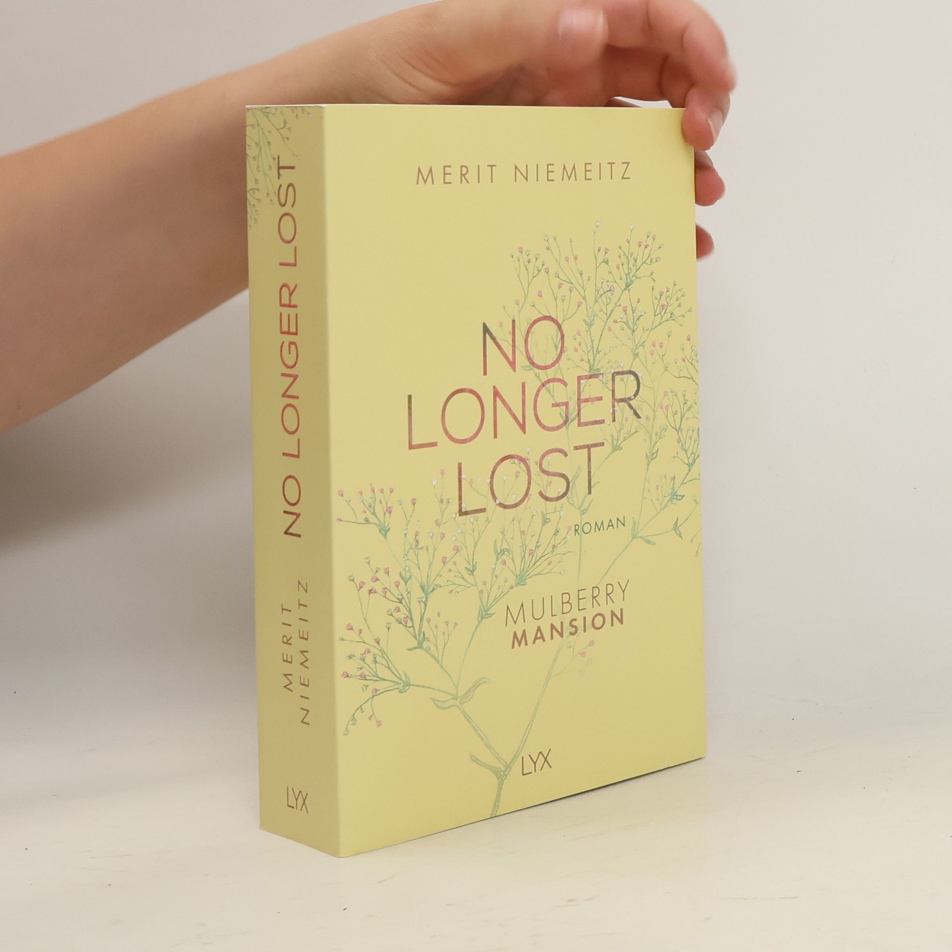 Merit Niemeitz No Longer Lost