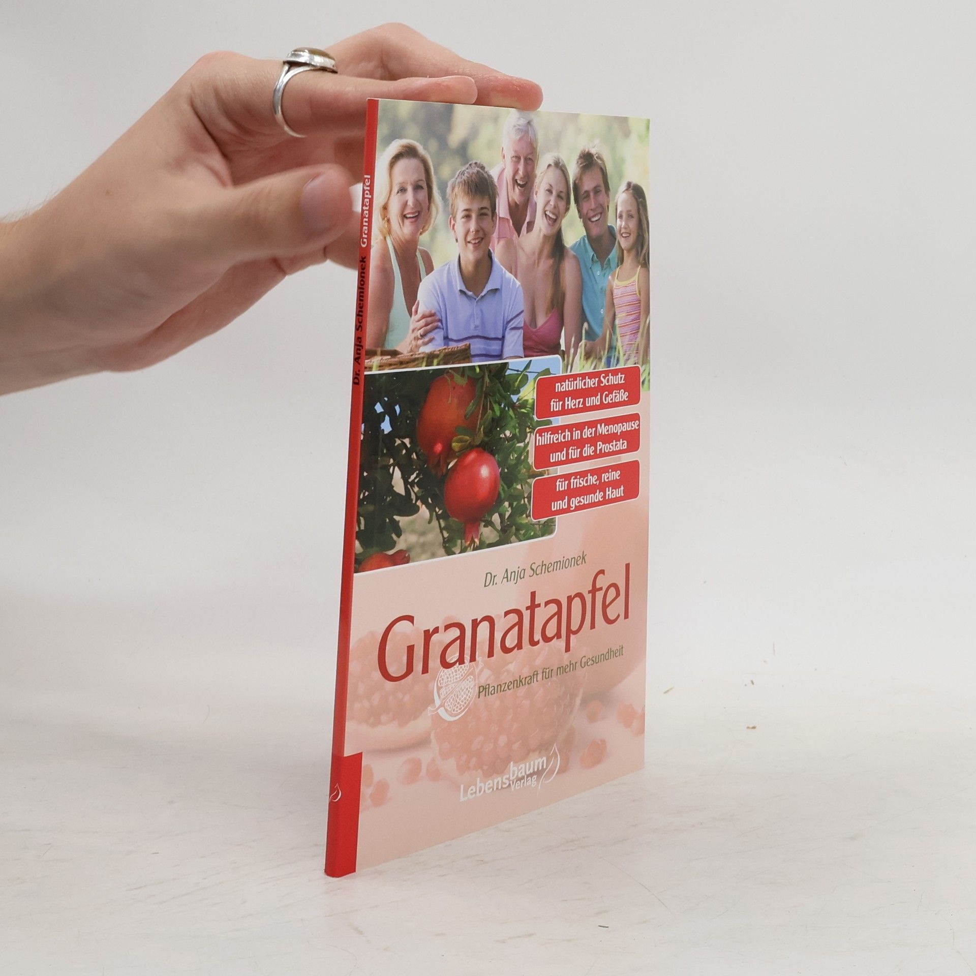 Anja Schemionek Granatapfel