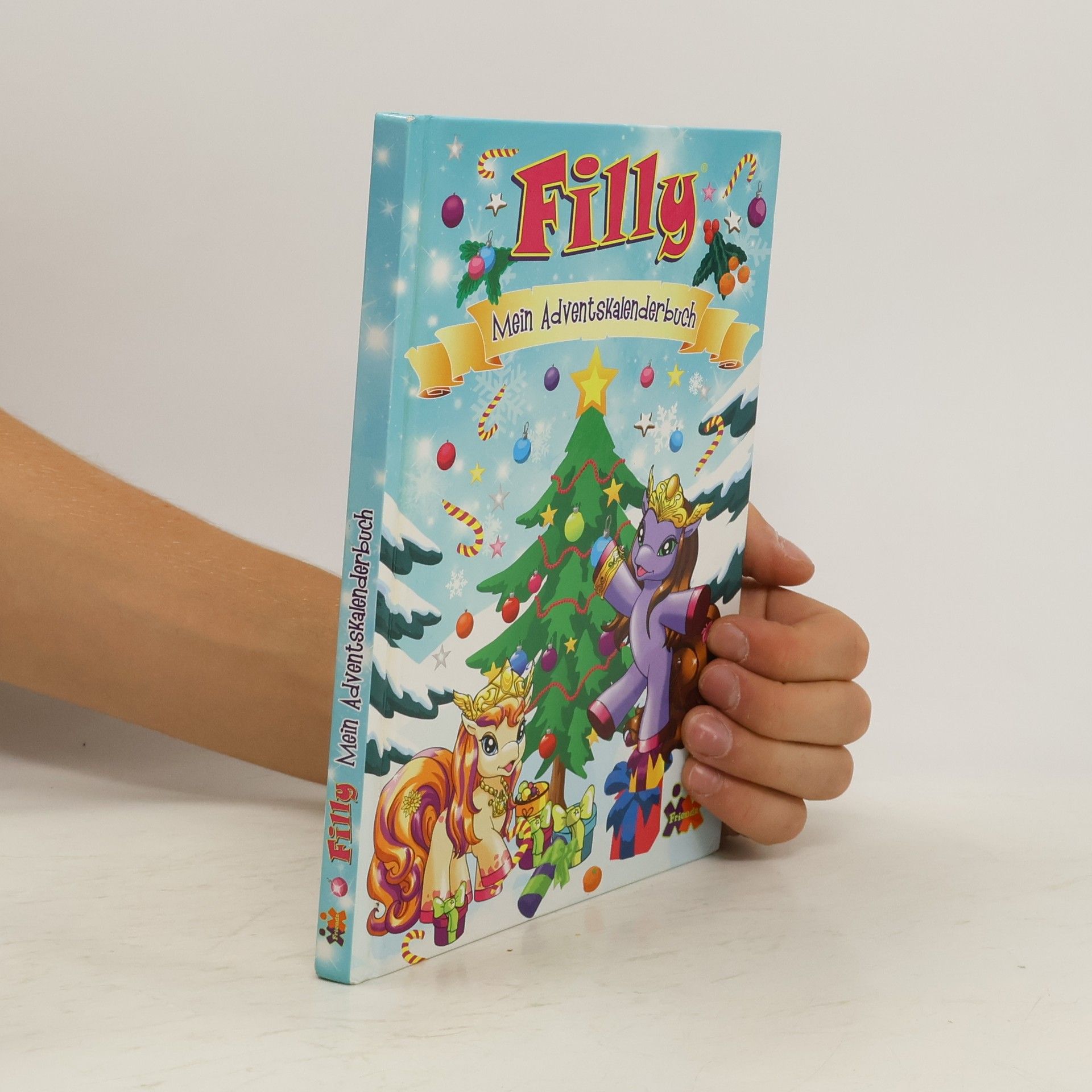 Judith Hüller Filly. Mein Adventskalenderbuch