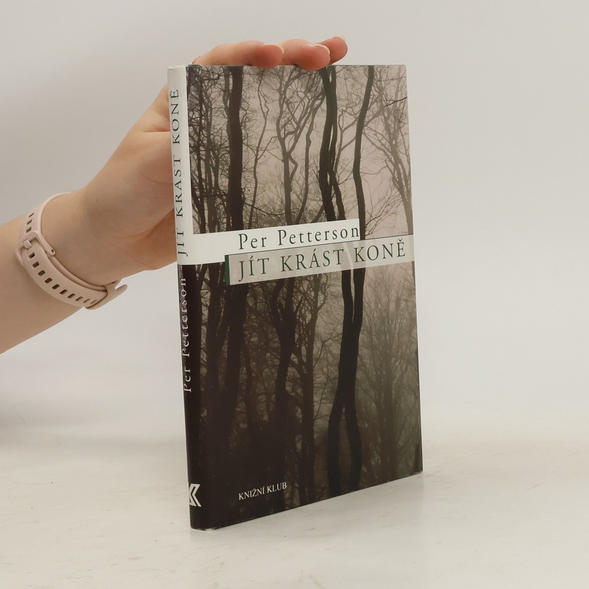 Per Petterson Jít krást koně