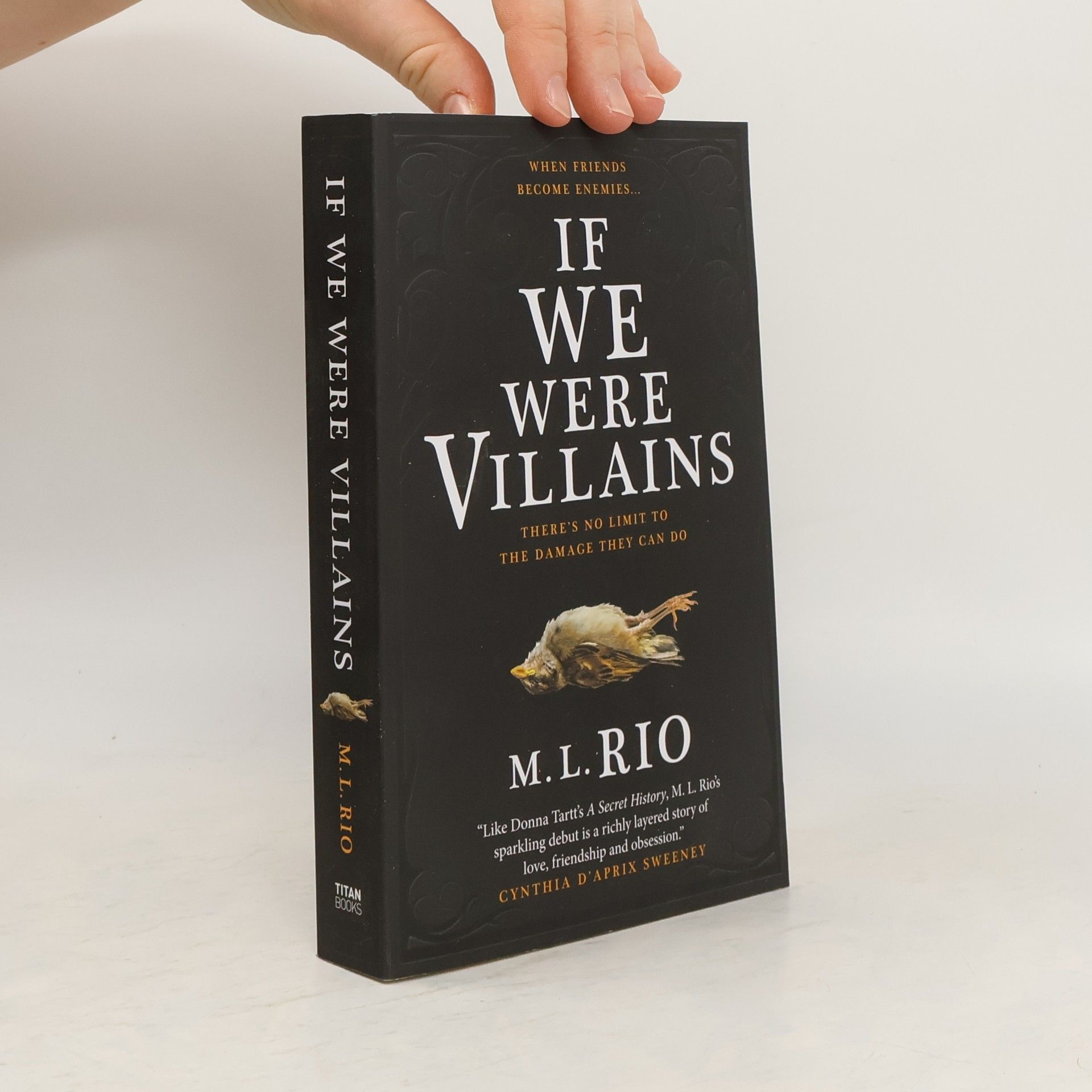 M. L. Rio If We Were Villains