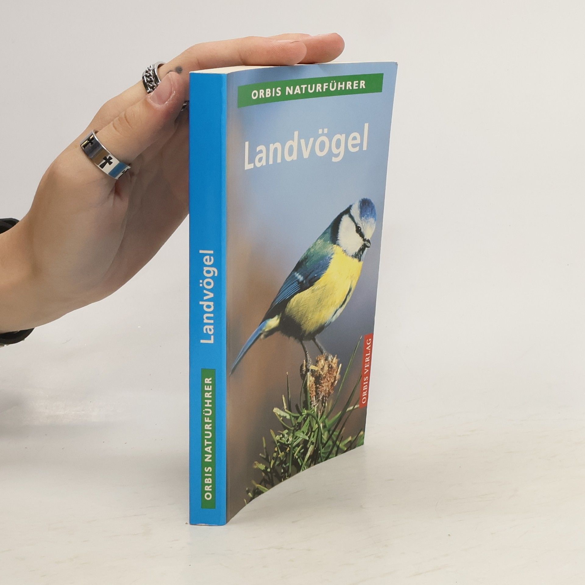 Autorenkollektiv Landvögel