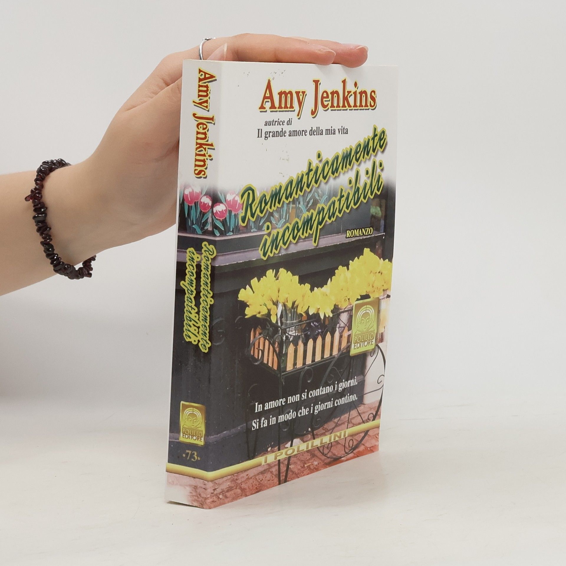 Amy Jenkins Romanticamente incompatibili