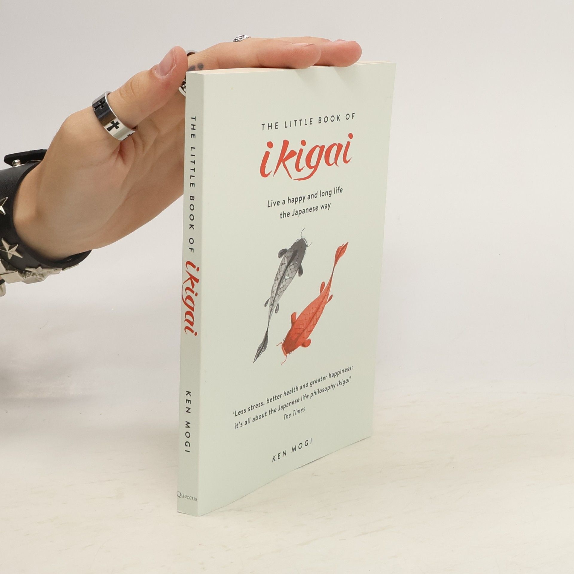 Ken Mogi The Little Book of Ikigai